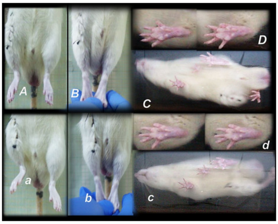 Biomedicines 09 01547 g005 550