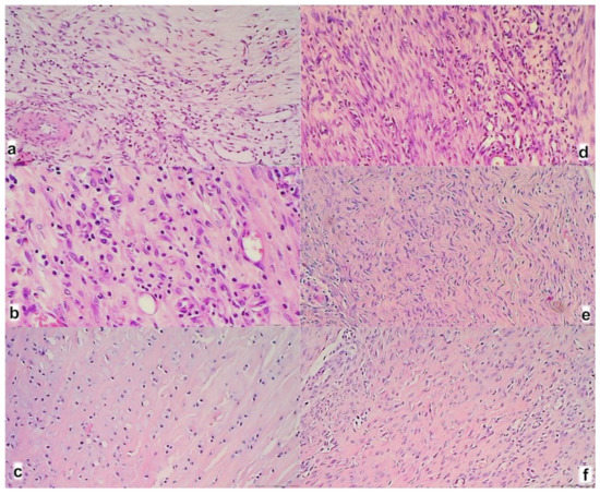 Biomedicines 09 01547 g009 550