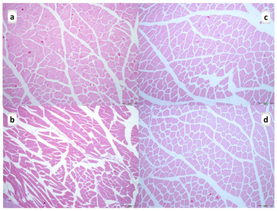 Biomedicines 09 01547 g013 550