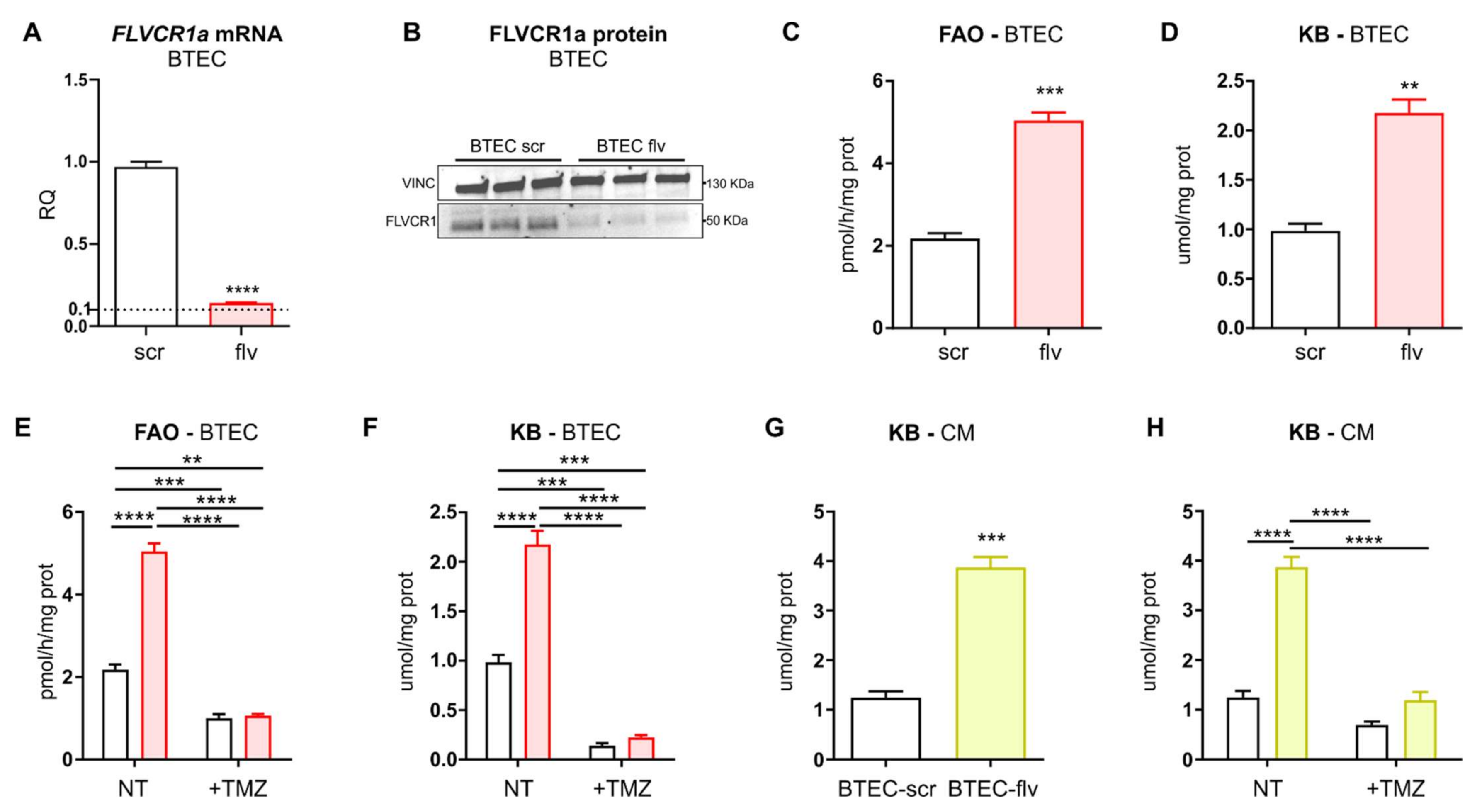 Biomedicines 09 01557 g002