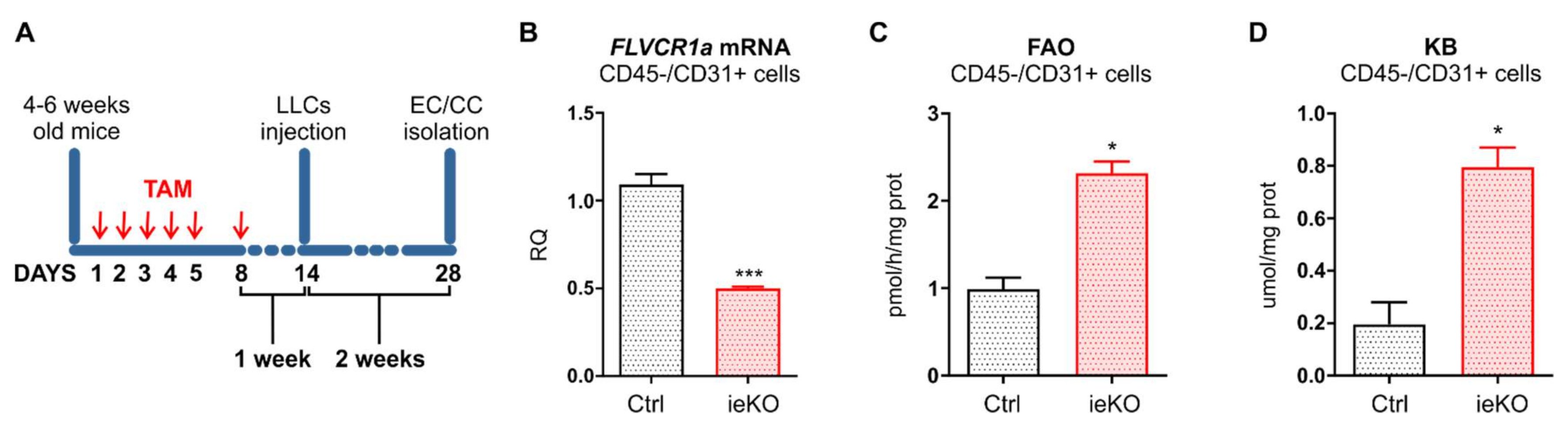 Biomedicines 09 01557 g003
