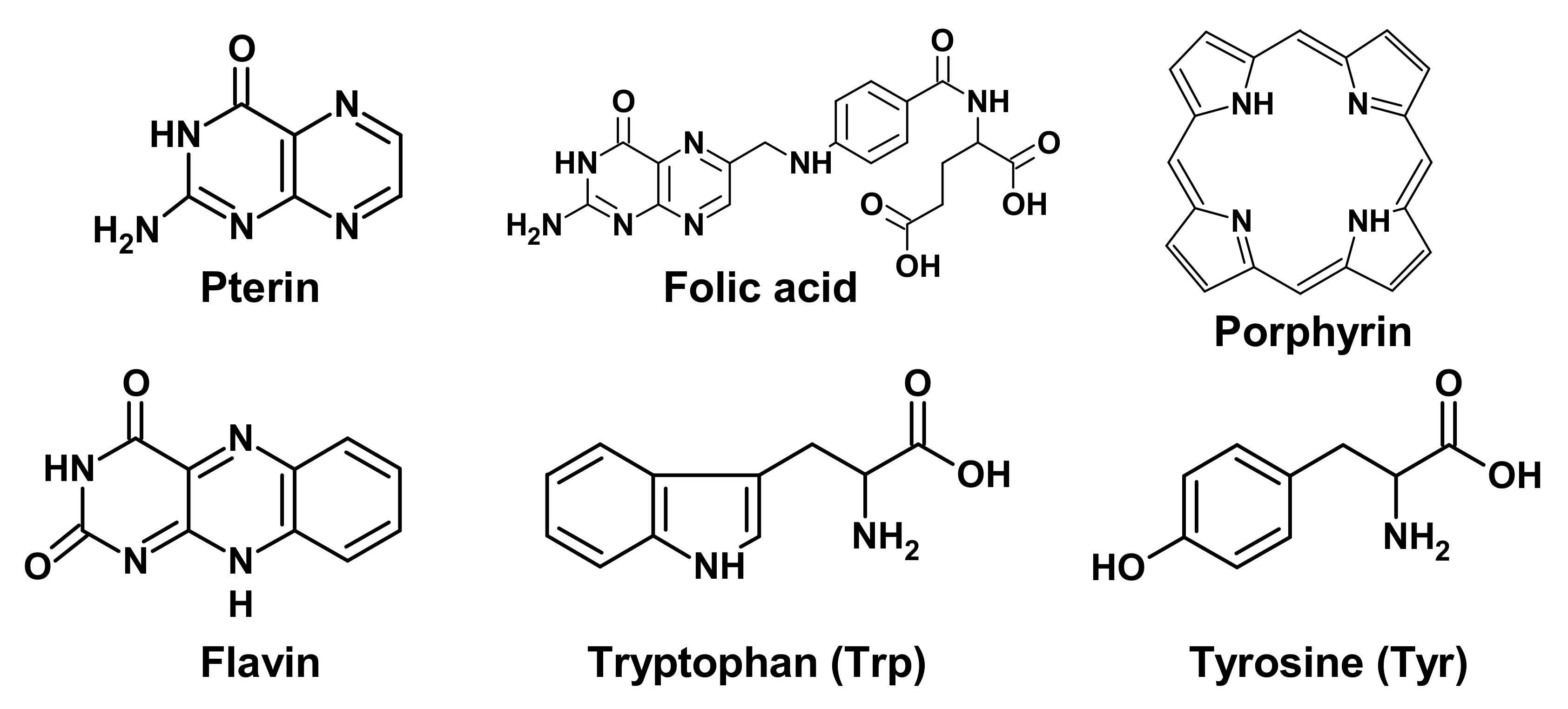 Biomedicines 09 01564 g001