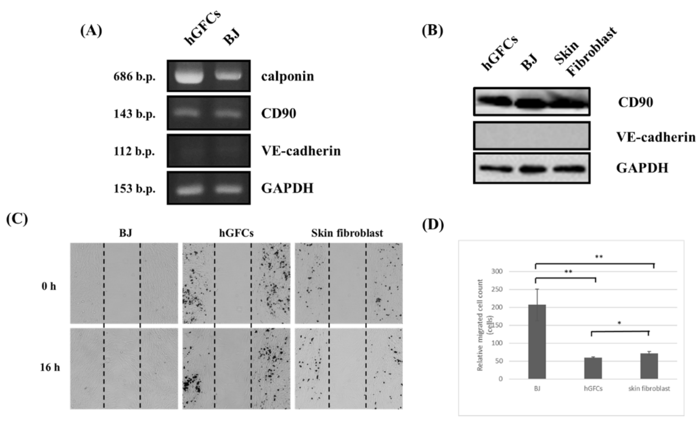 Biomedicines 09 01565 g002