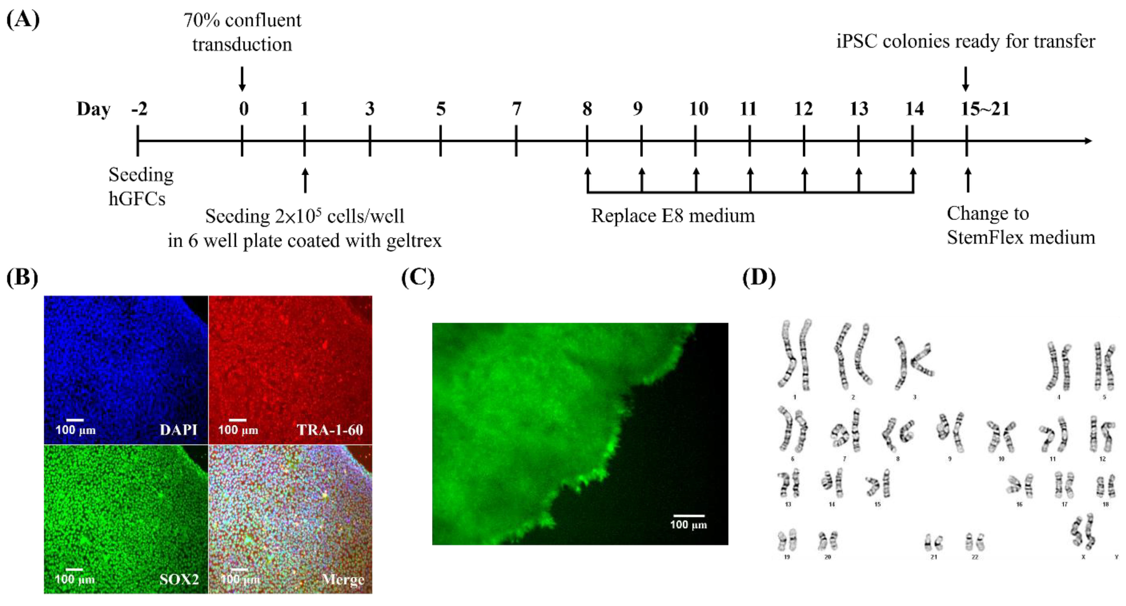 Biomedicines 09 01565 g003