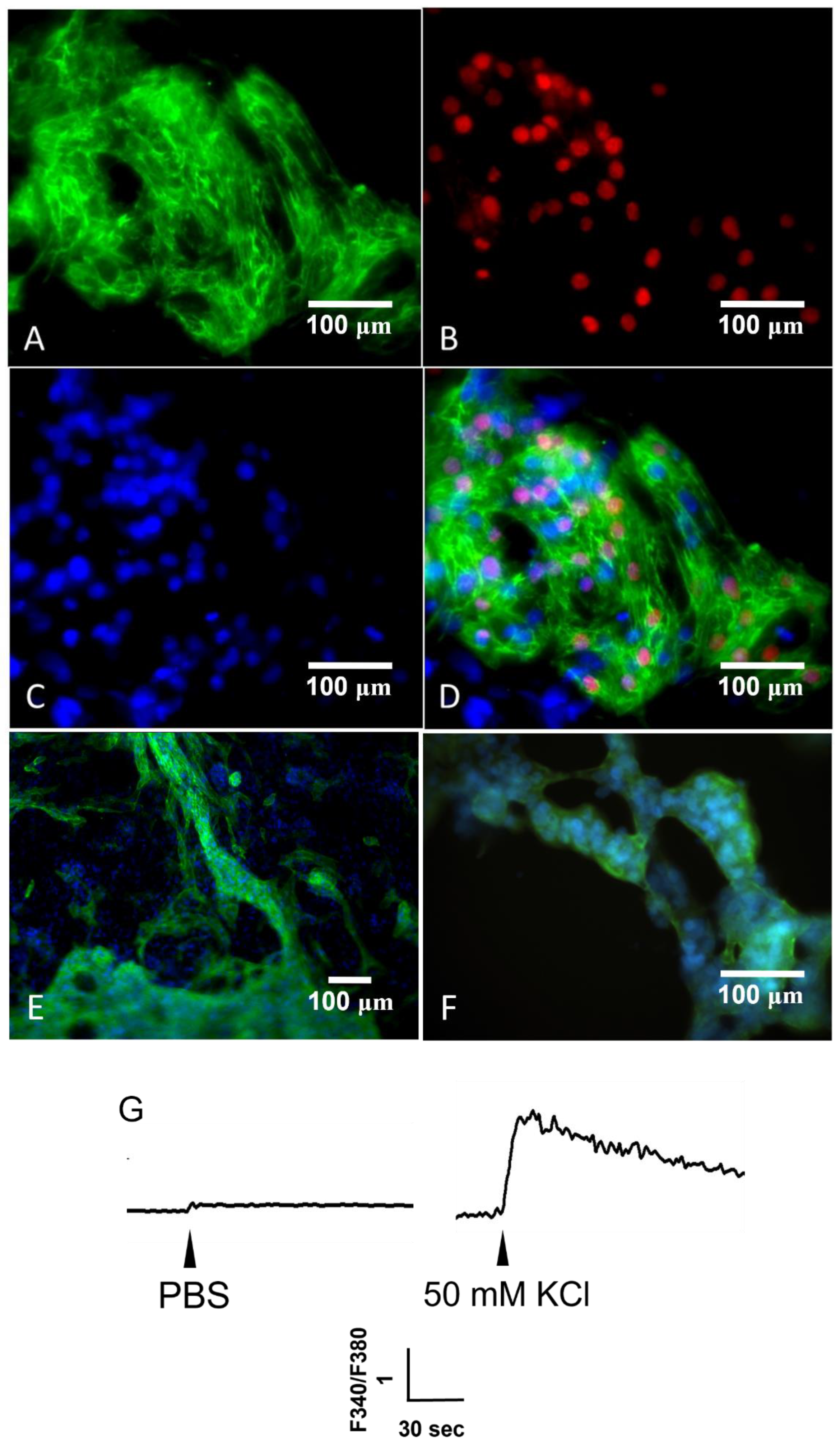Biomedicines 09 01565 g005