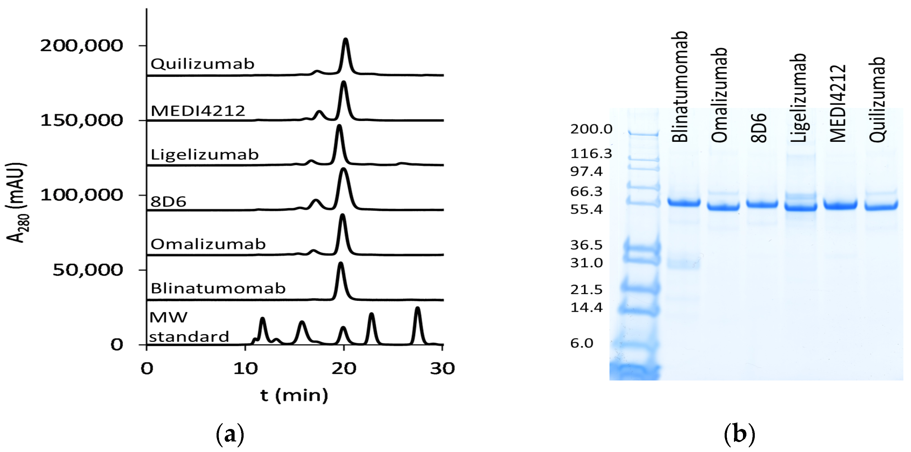 Biomedicines 09 01568 g002