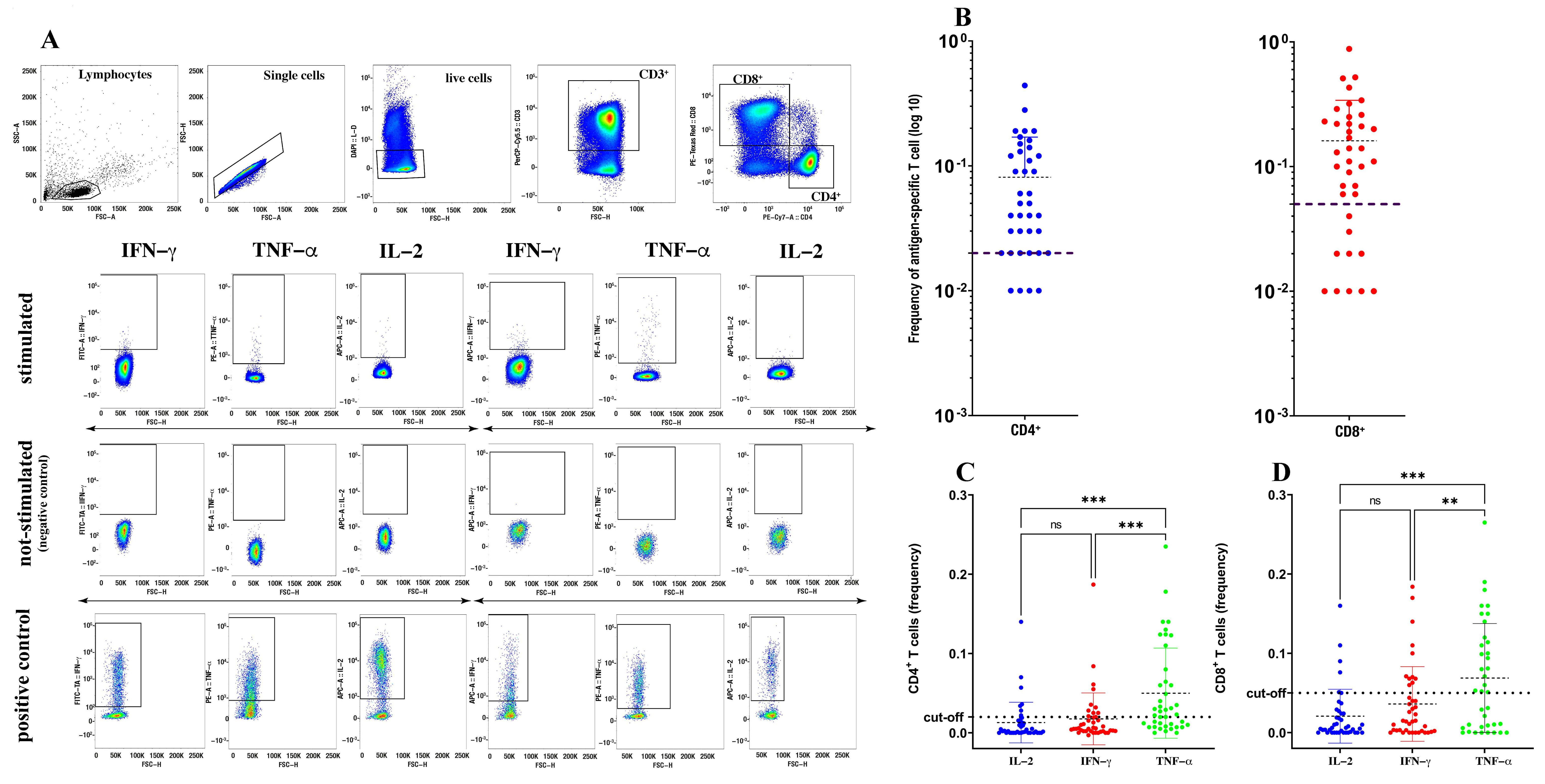 Biomedicines 09 01576 g001