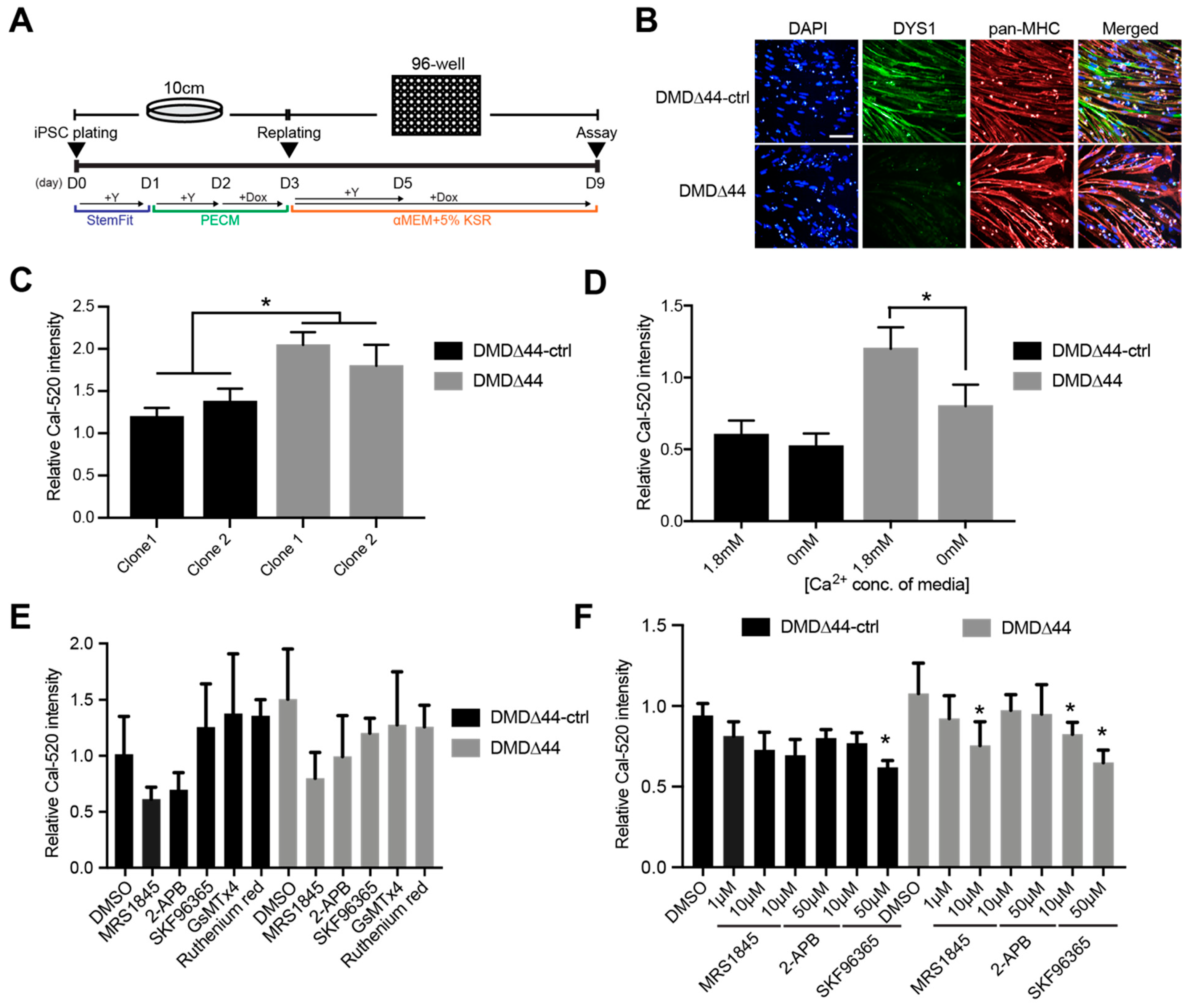 Biomedicines 09 01589 g001