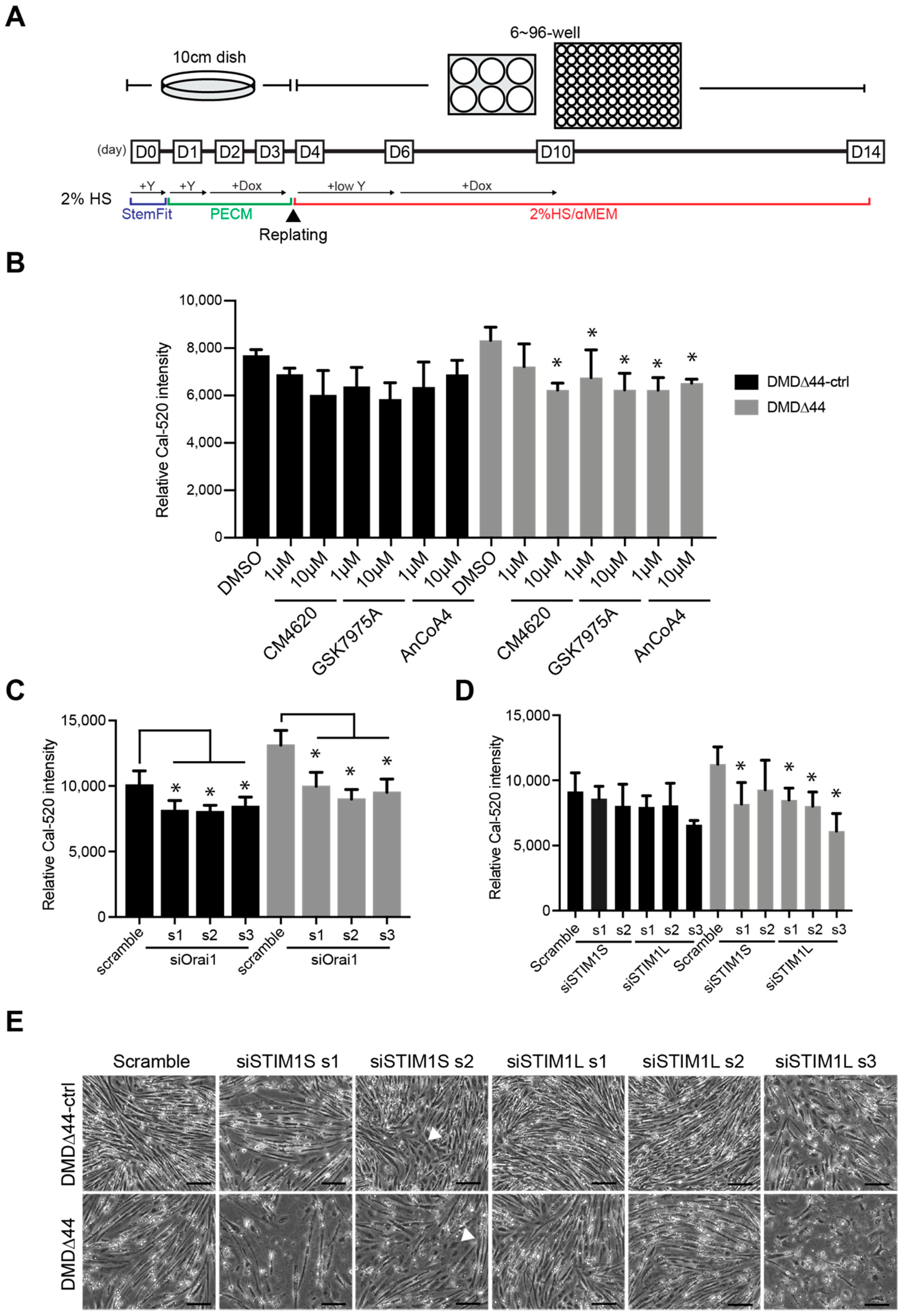 Biomedicines 09 01589 g003
