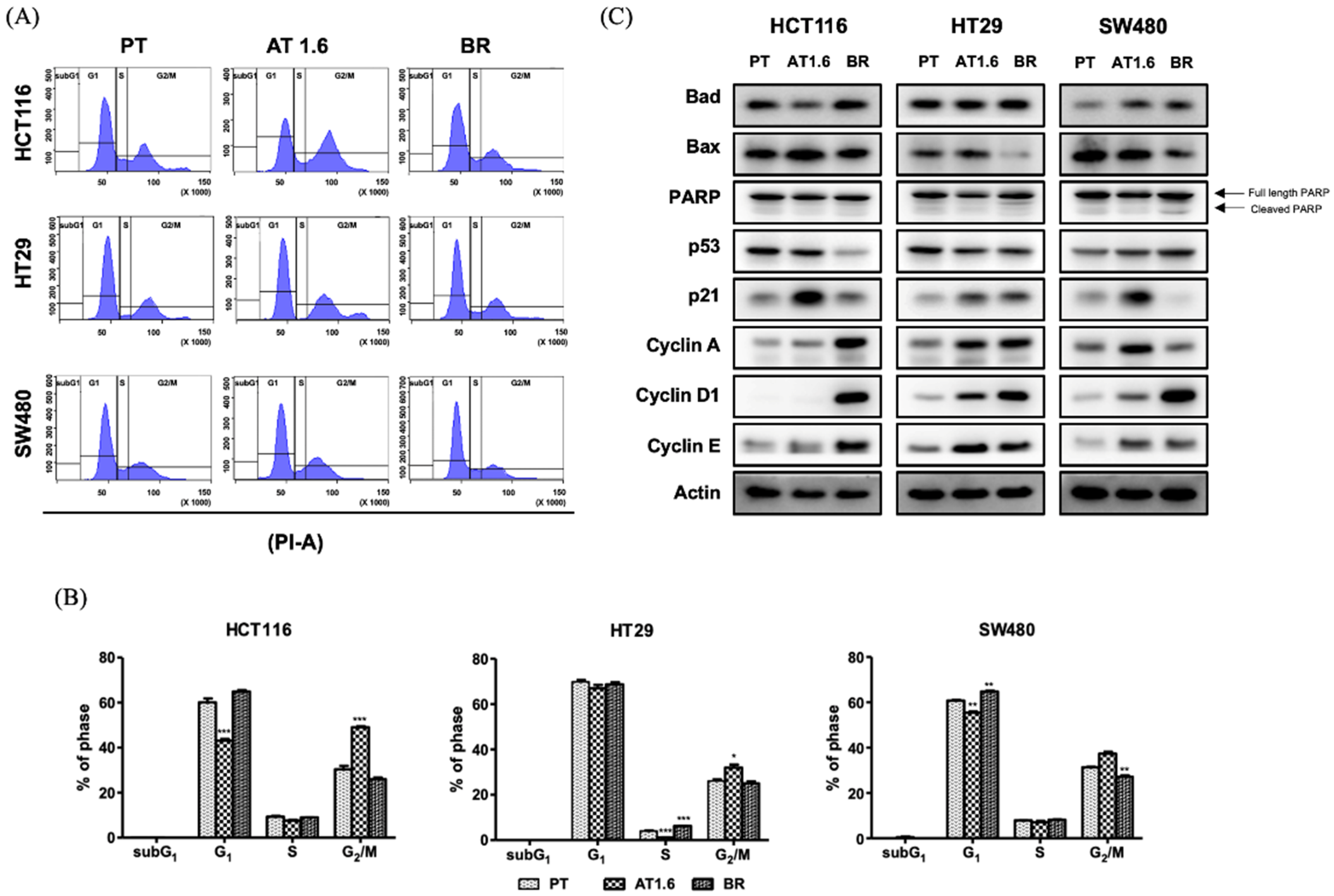 Biomedicines 09 01604 g003 Biomedicines 09 01604 g003