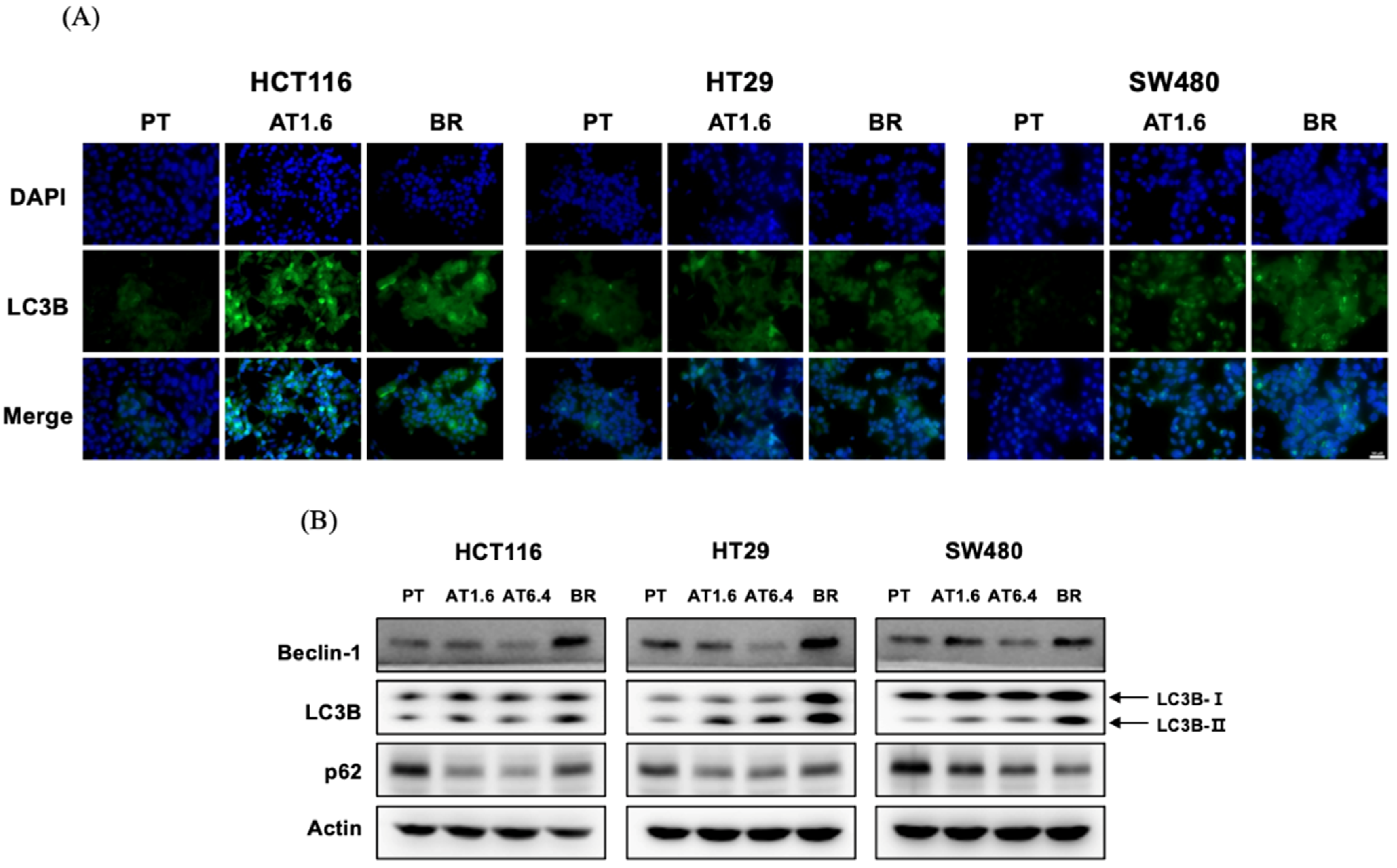Biomedicines 09 01604 g004 Biomedicines 09 01604 g004