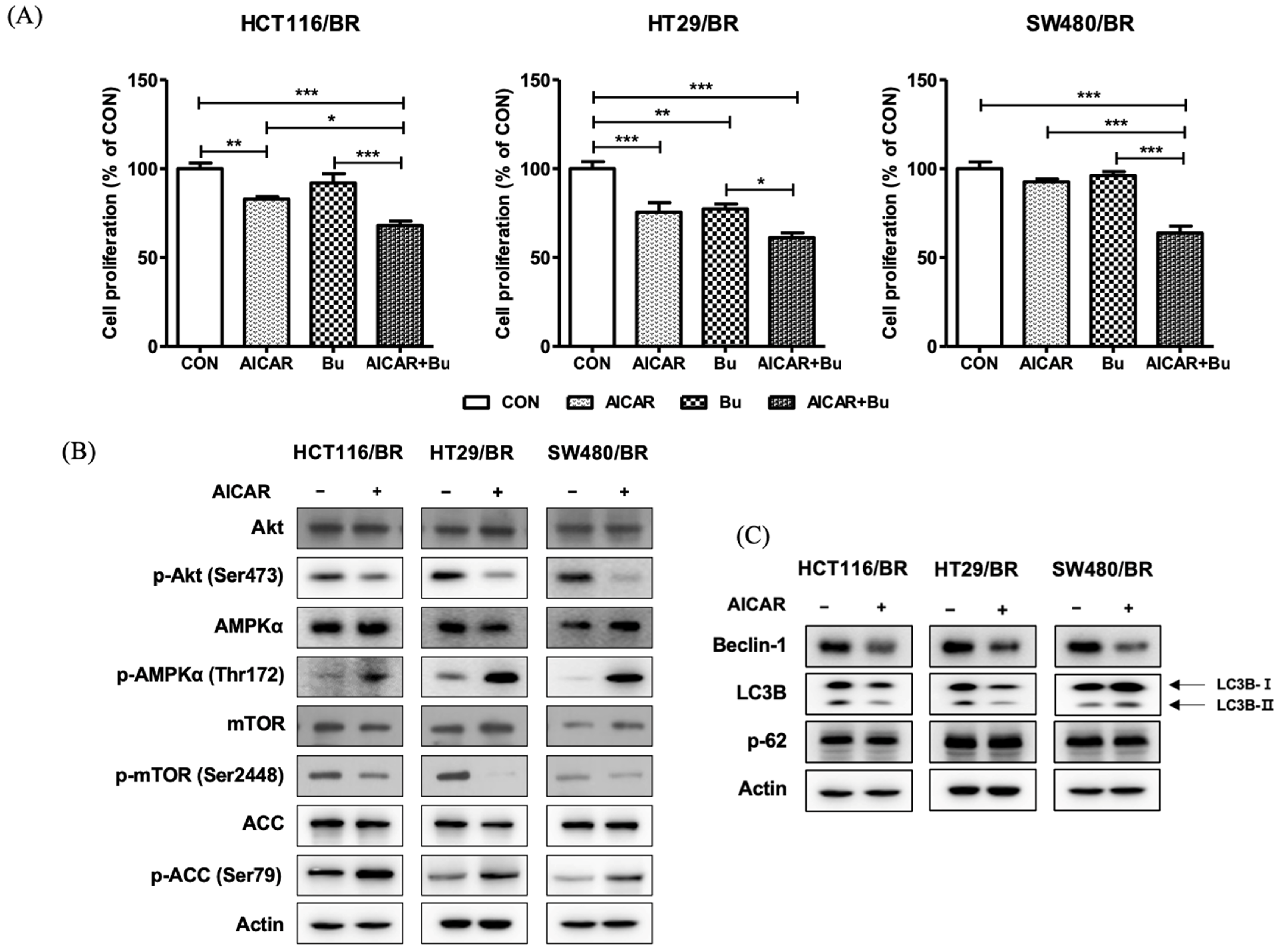 Biomedicines 09 01604 g006 Biomedicines 09 01604 g006