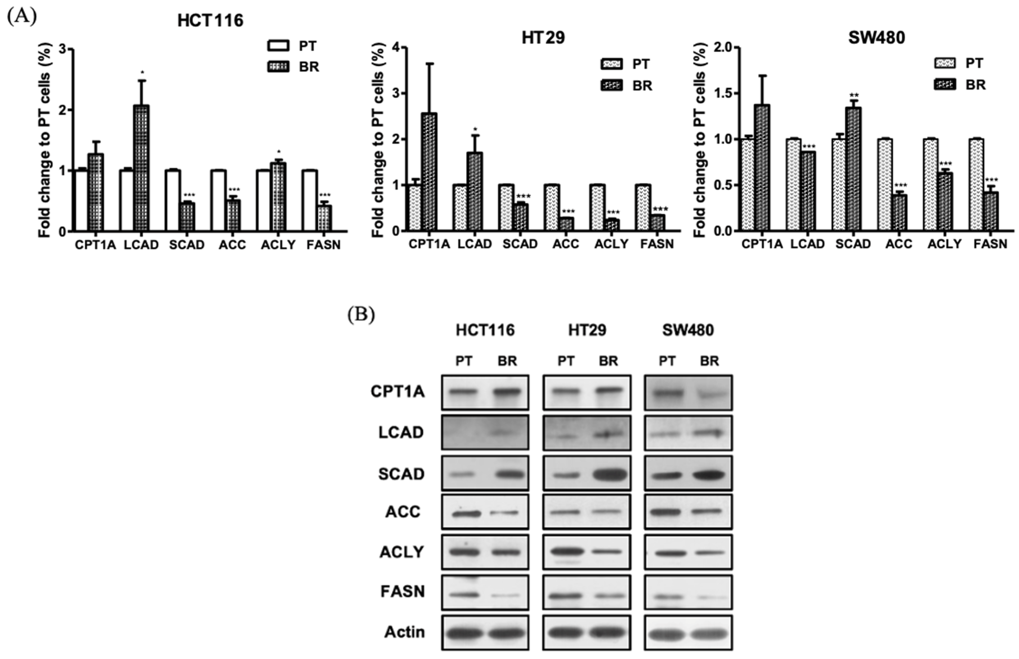 Biomedicines 09 01604 g007 Biomedicines 09 01604 g007
