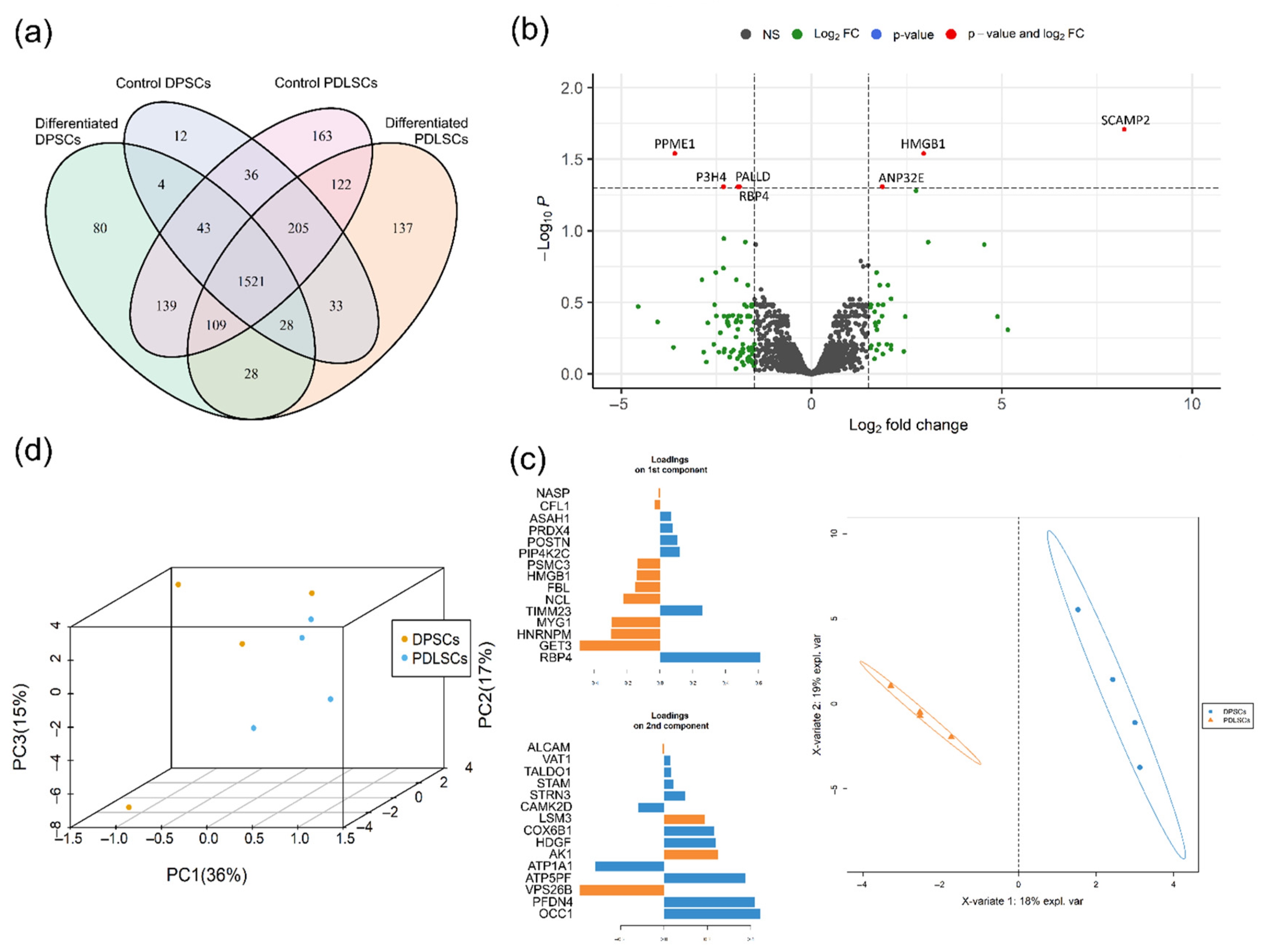 Biomedicines 09 01606 g005