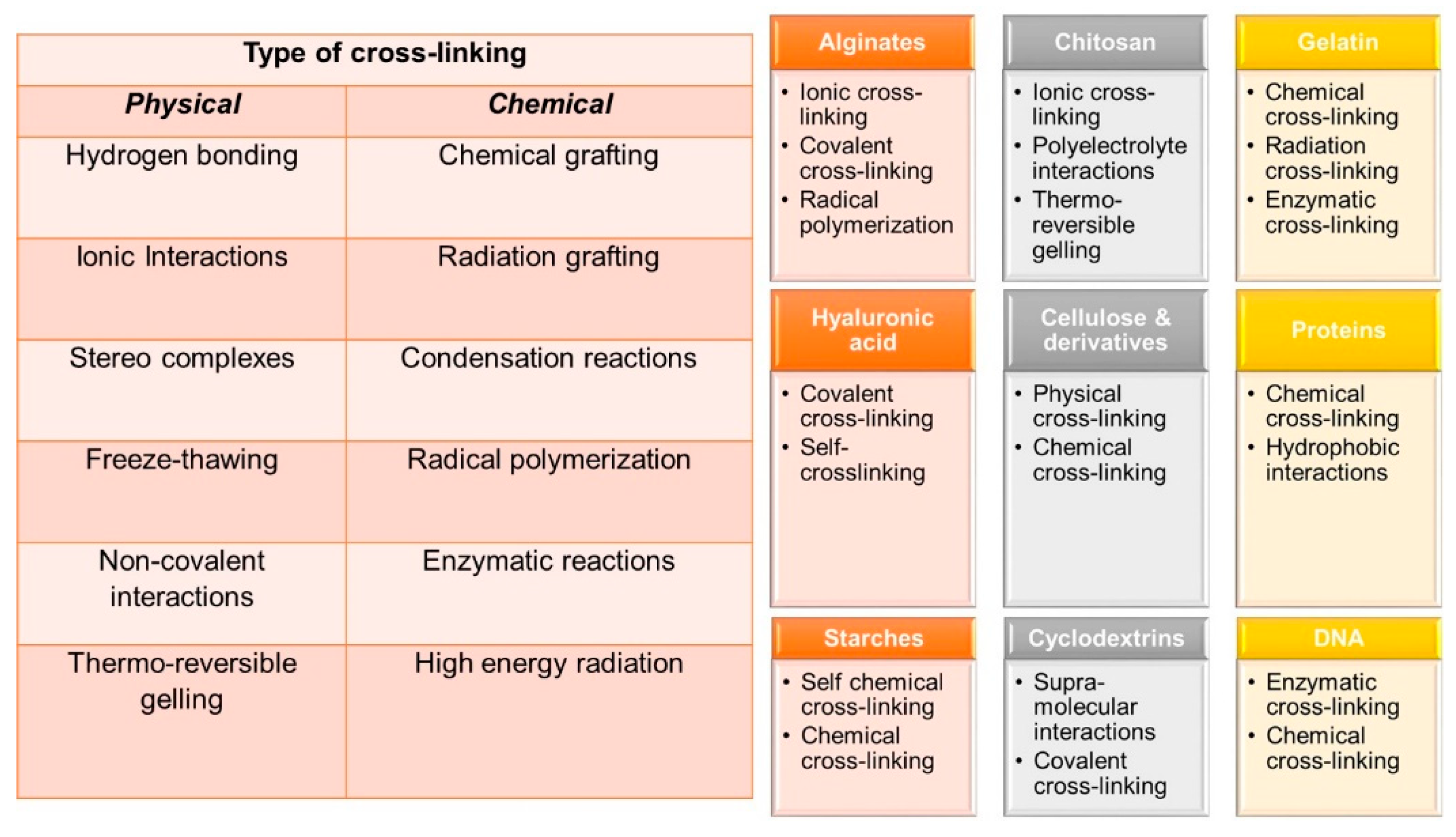 Biomedicines 09 01612 g003