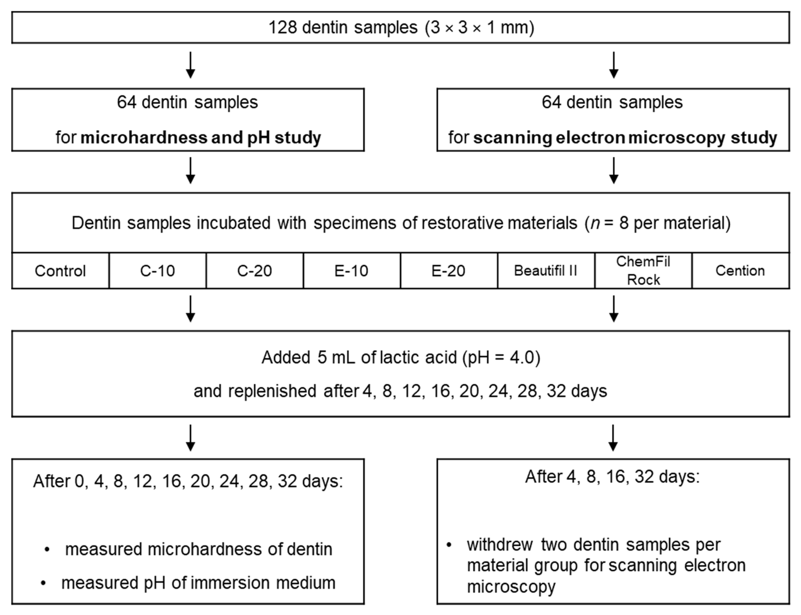 Biomedicines 09 01616 g001