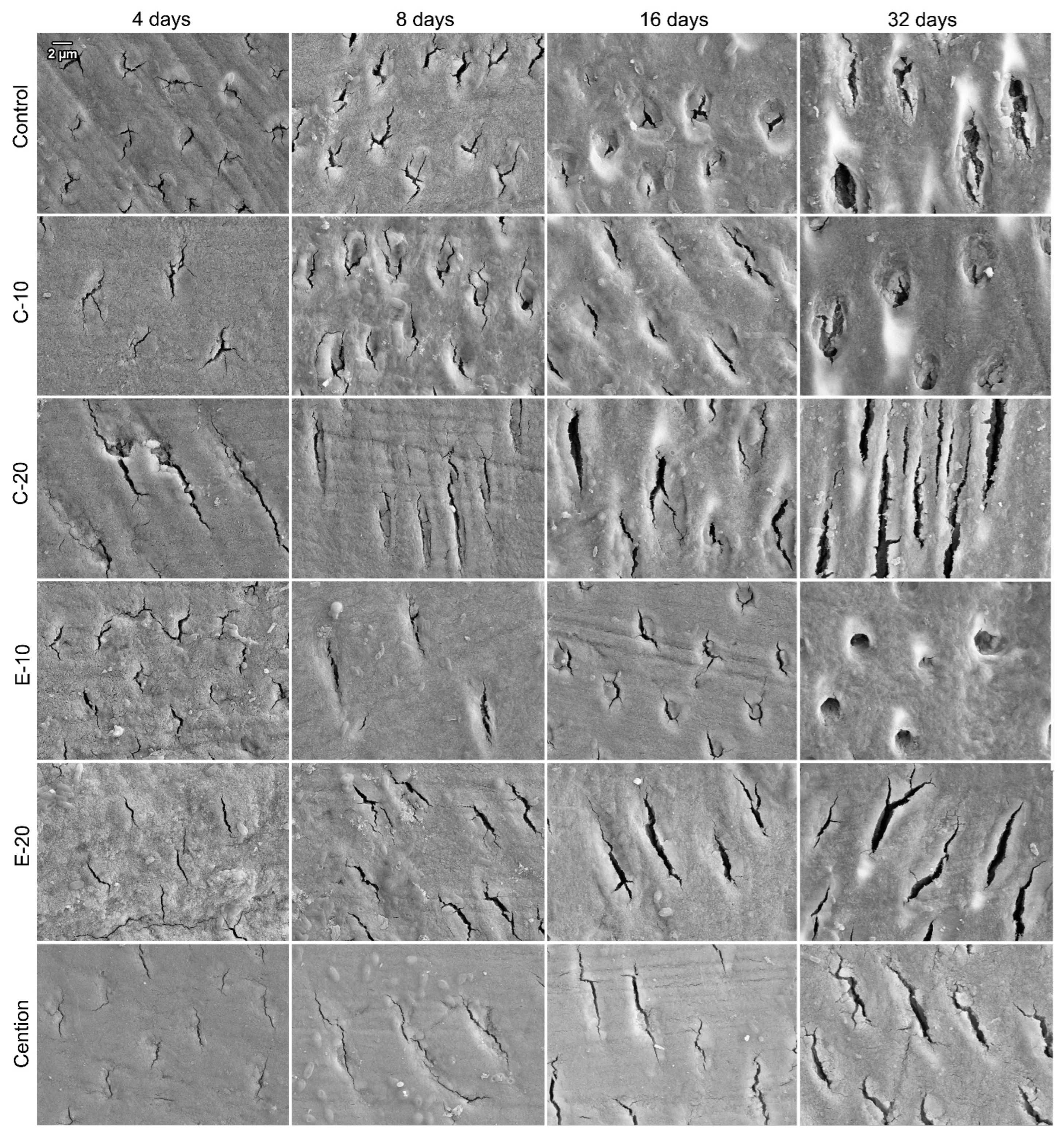 Biomedicines 09 01616 g004