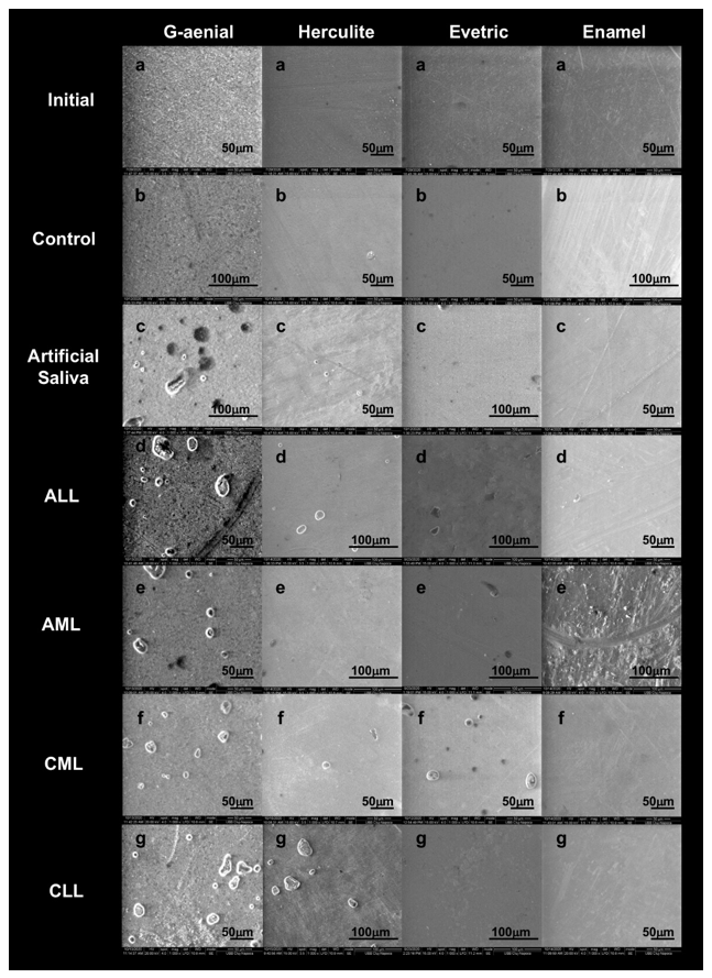 Biomedicines 09 01618 g004