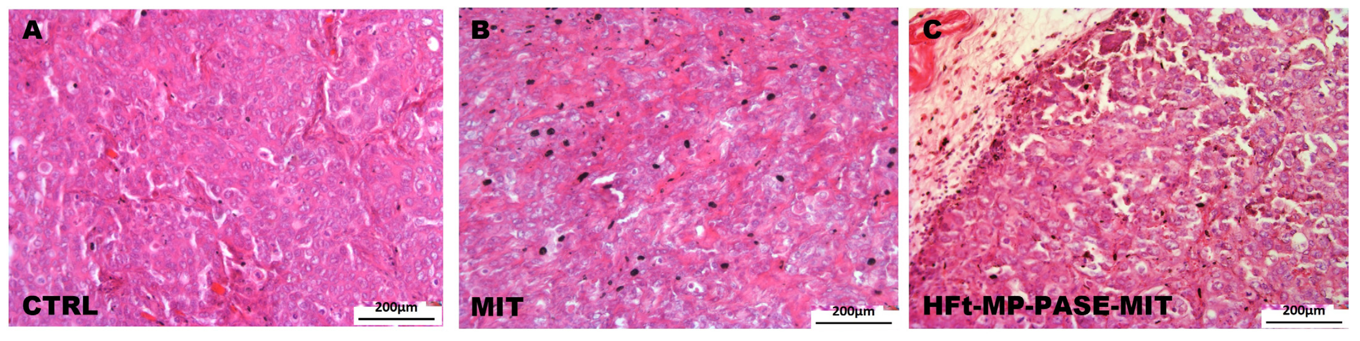 Biomedicines 09 01622 g005
