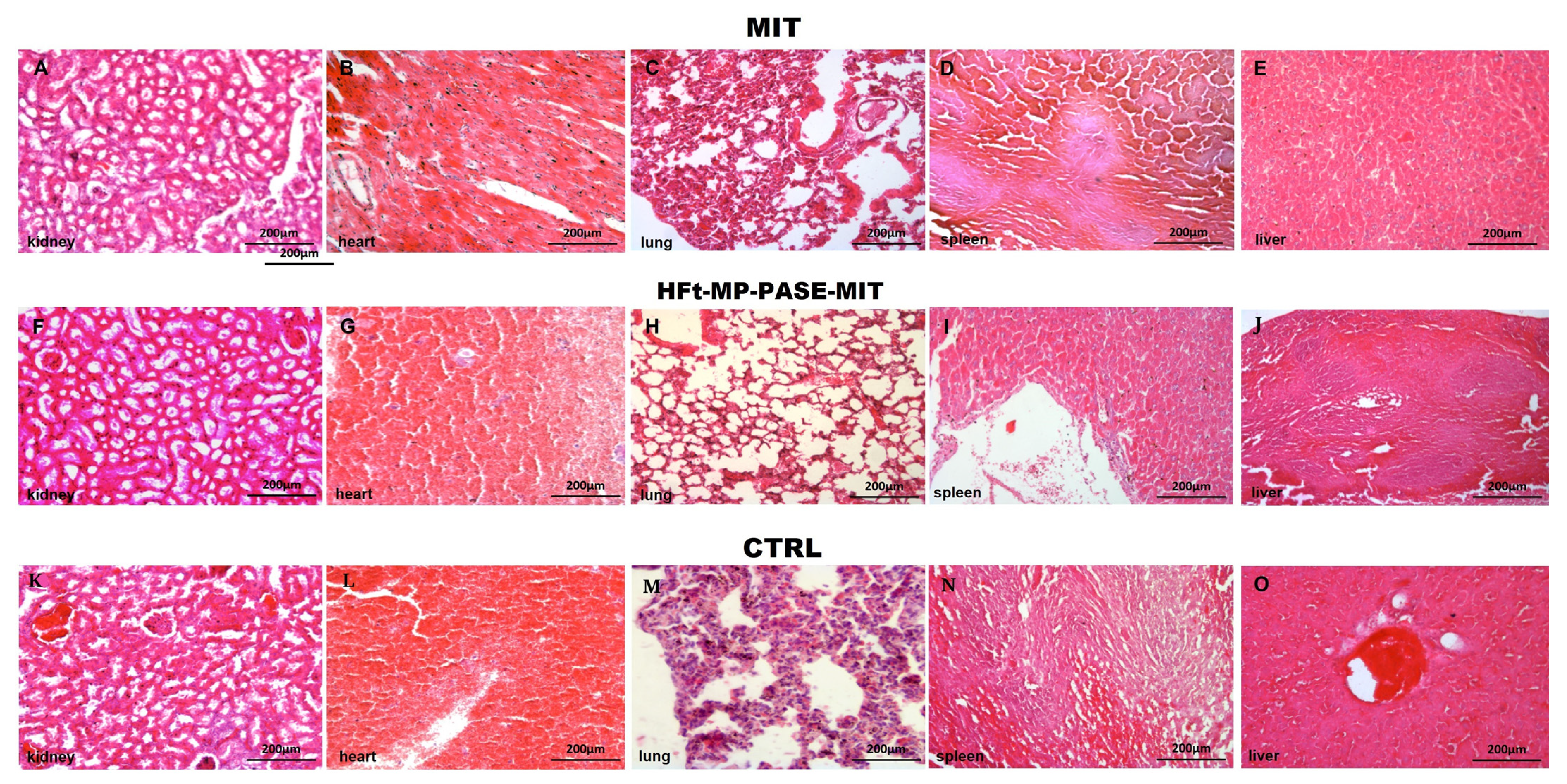 Biomedicines 09 01622 g006