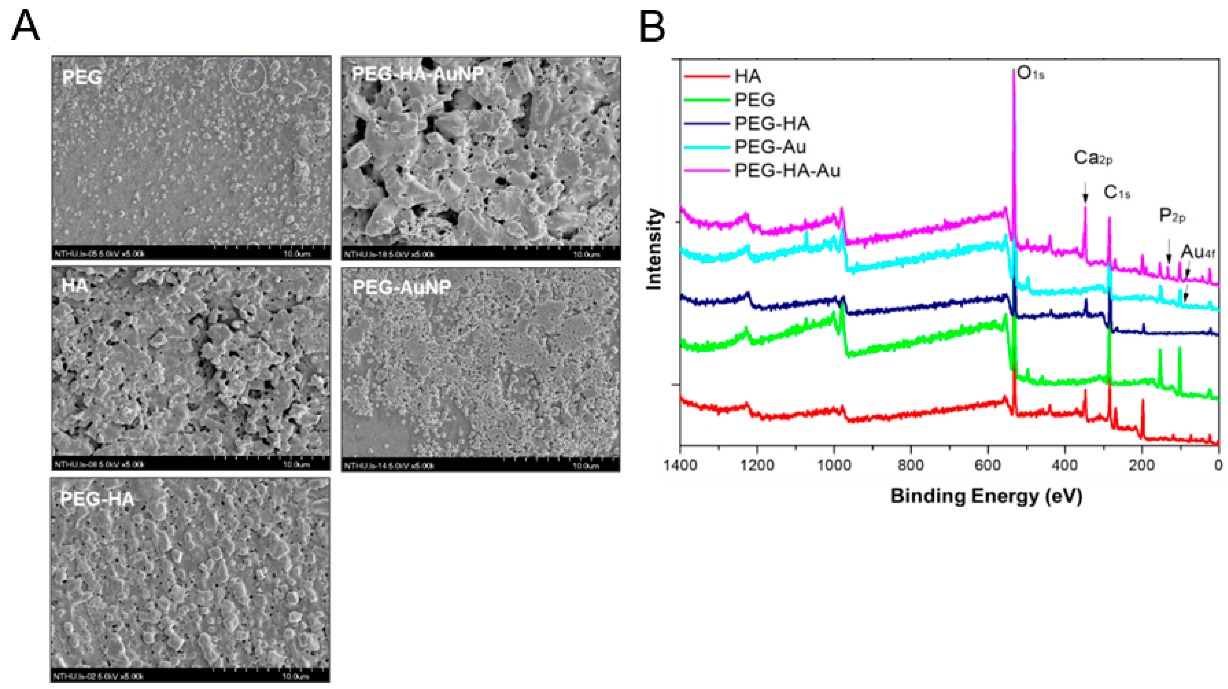 Biomedicines 09 01632 g003