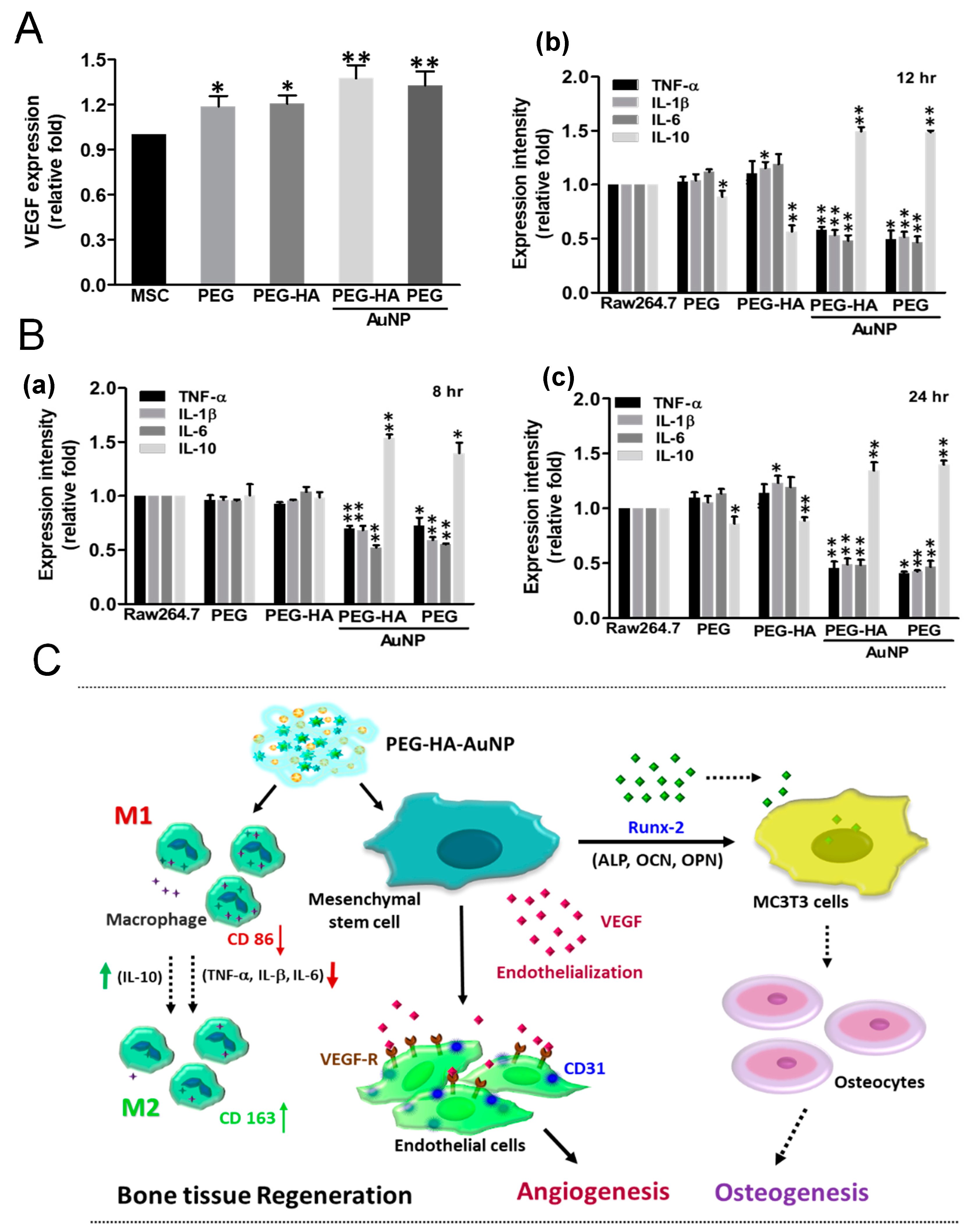 Biomedicines 09 01632 g008