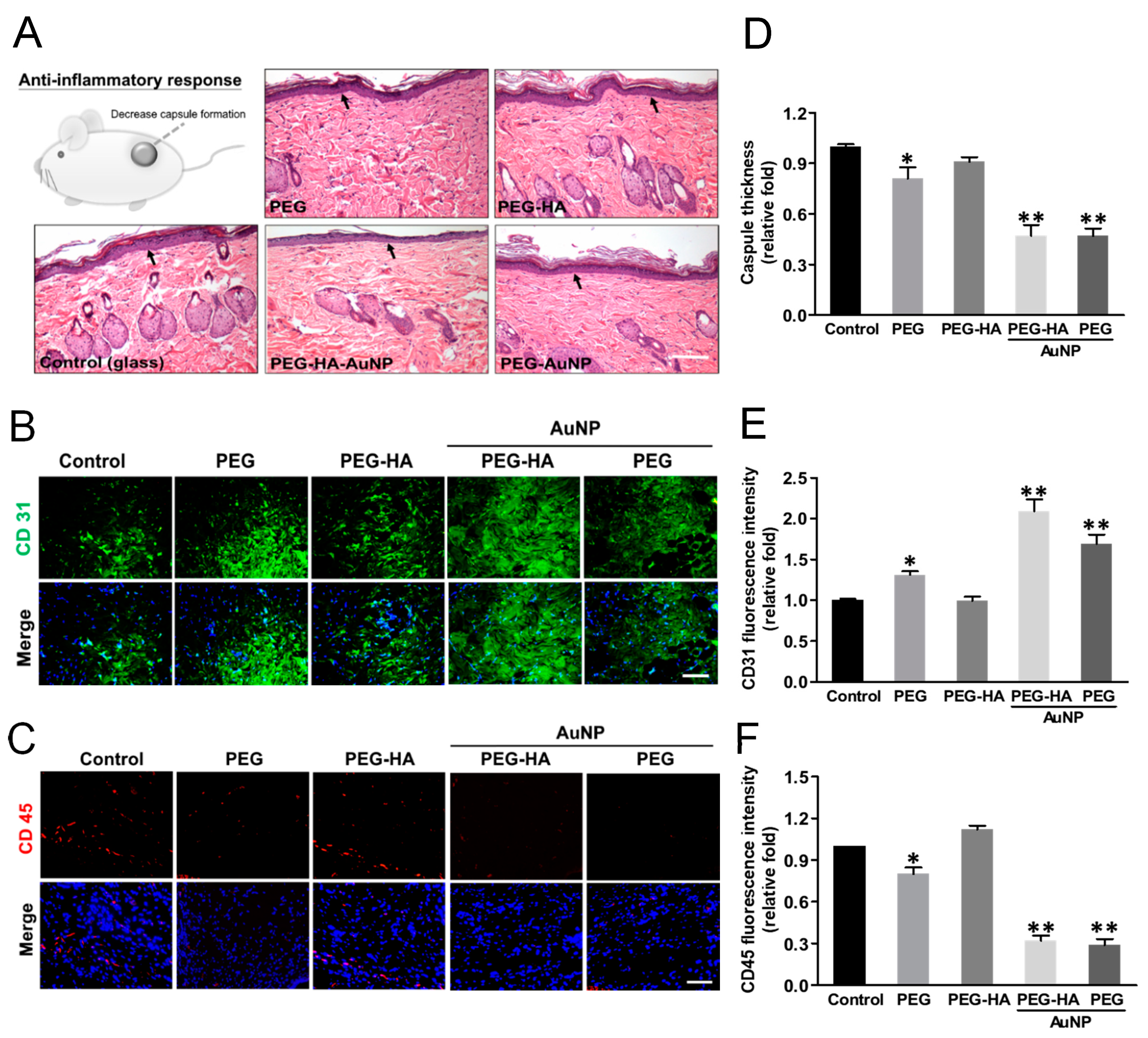Biomedicines 09 01632 g009