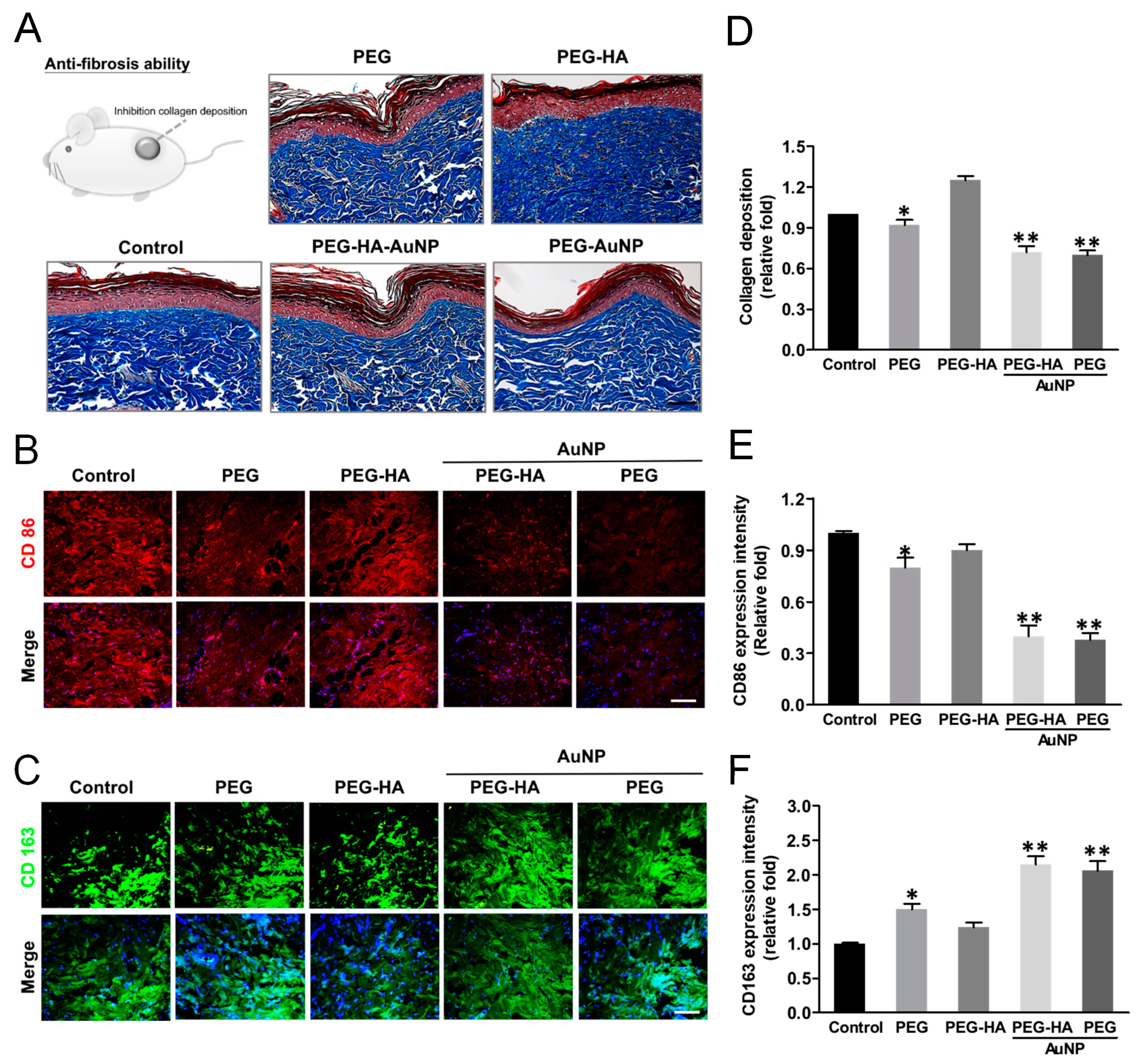 Biomedicines 09 01632 g010