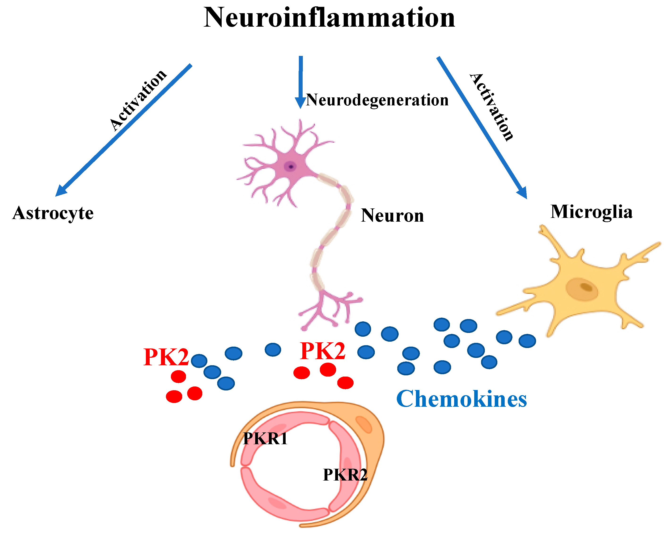 Biomedicines 09 01648 g002