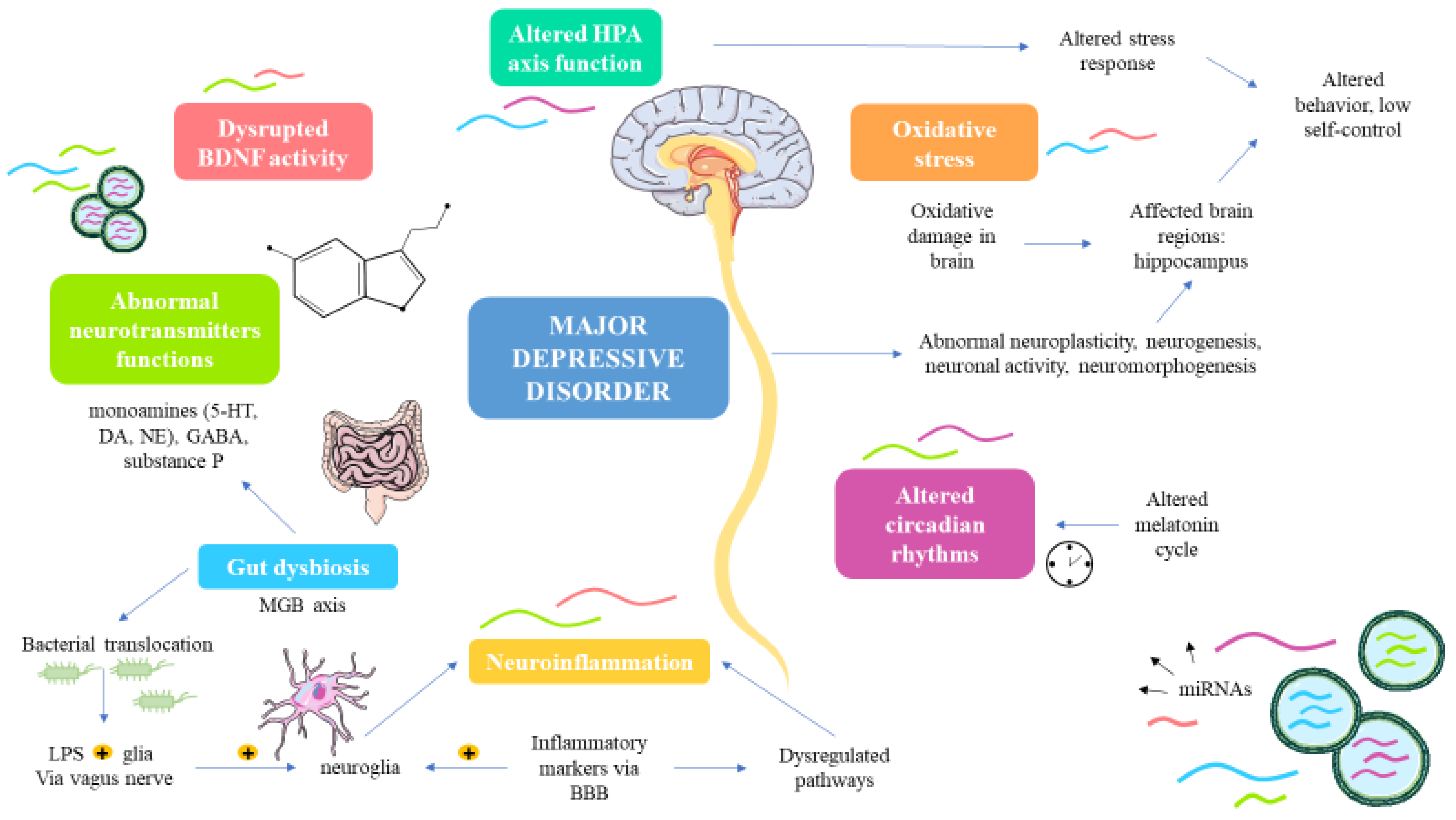 Biomedicines 09 01659 g001