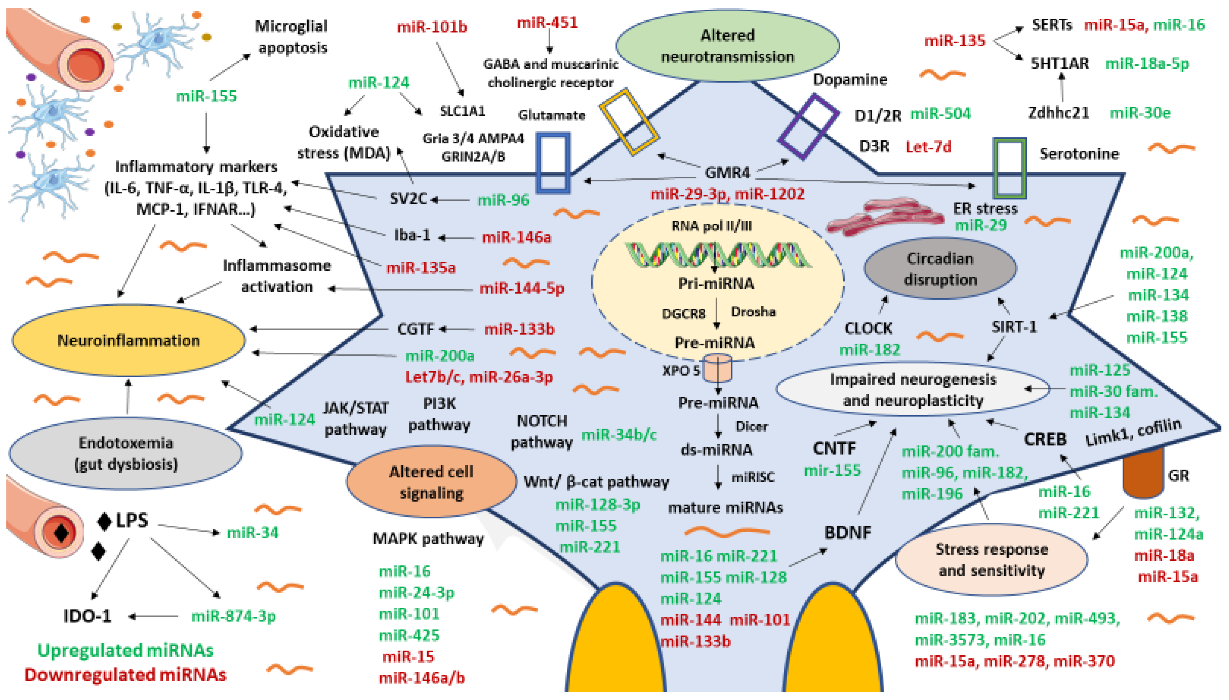 Biomedicines 09 01659 g002