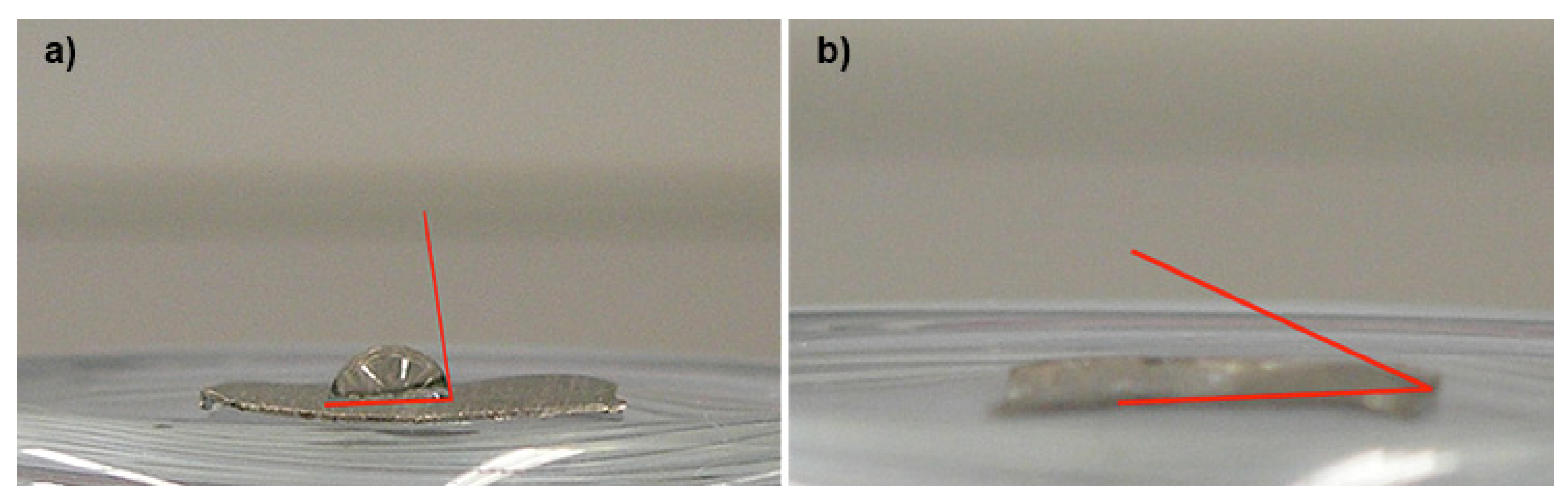 Biomedicines 09 01663 g003