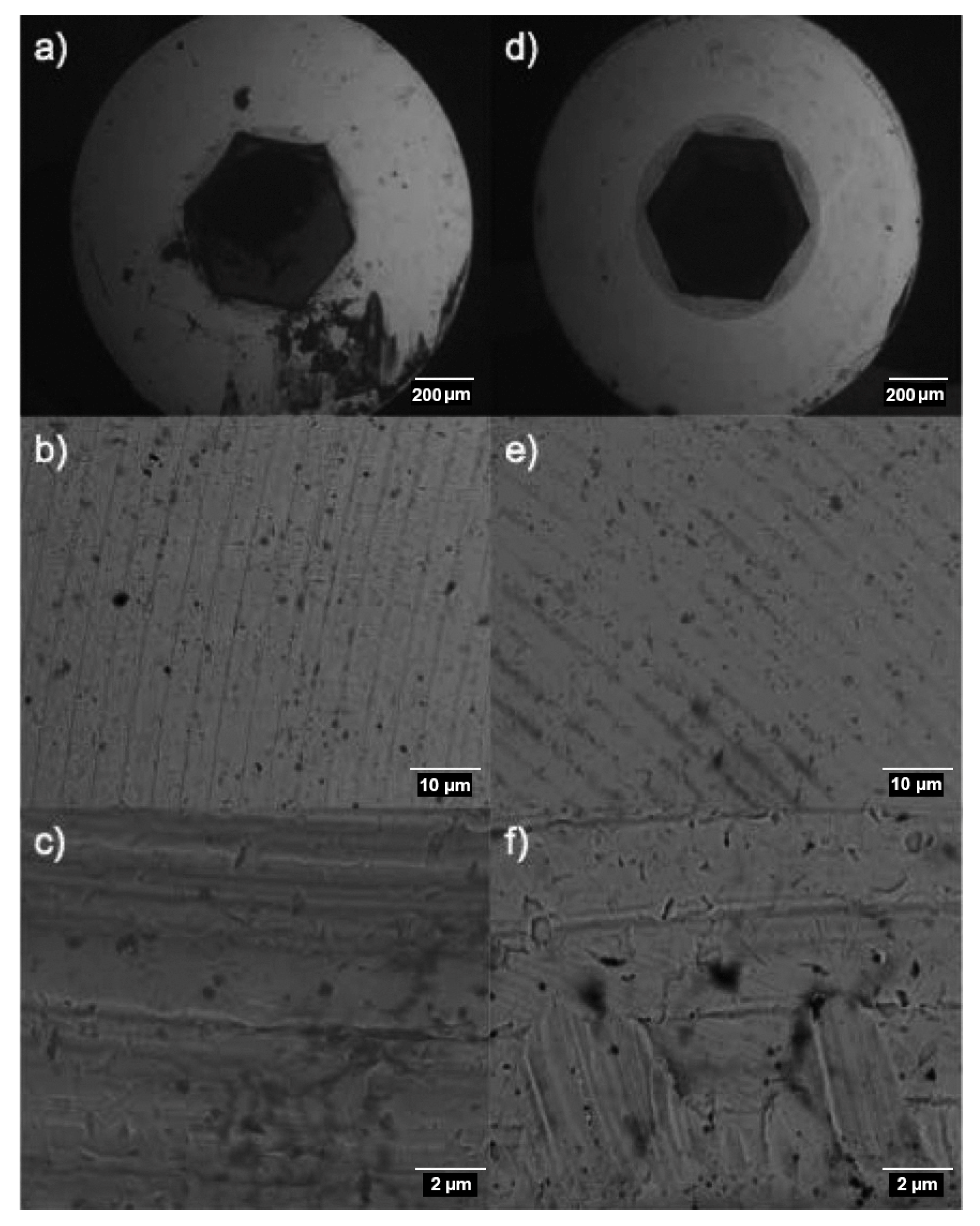 Biomedicines 09 01663 g005