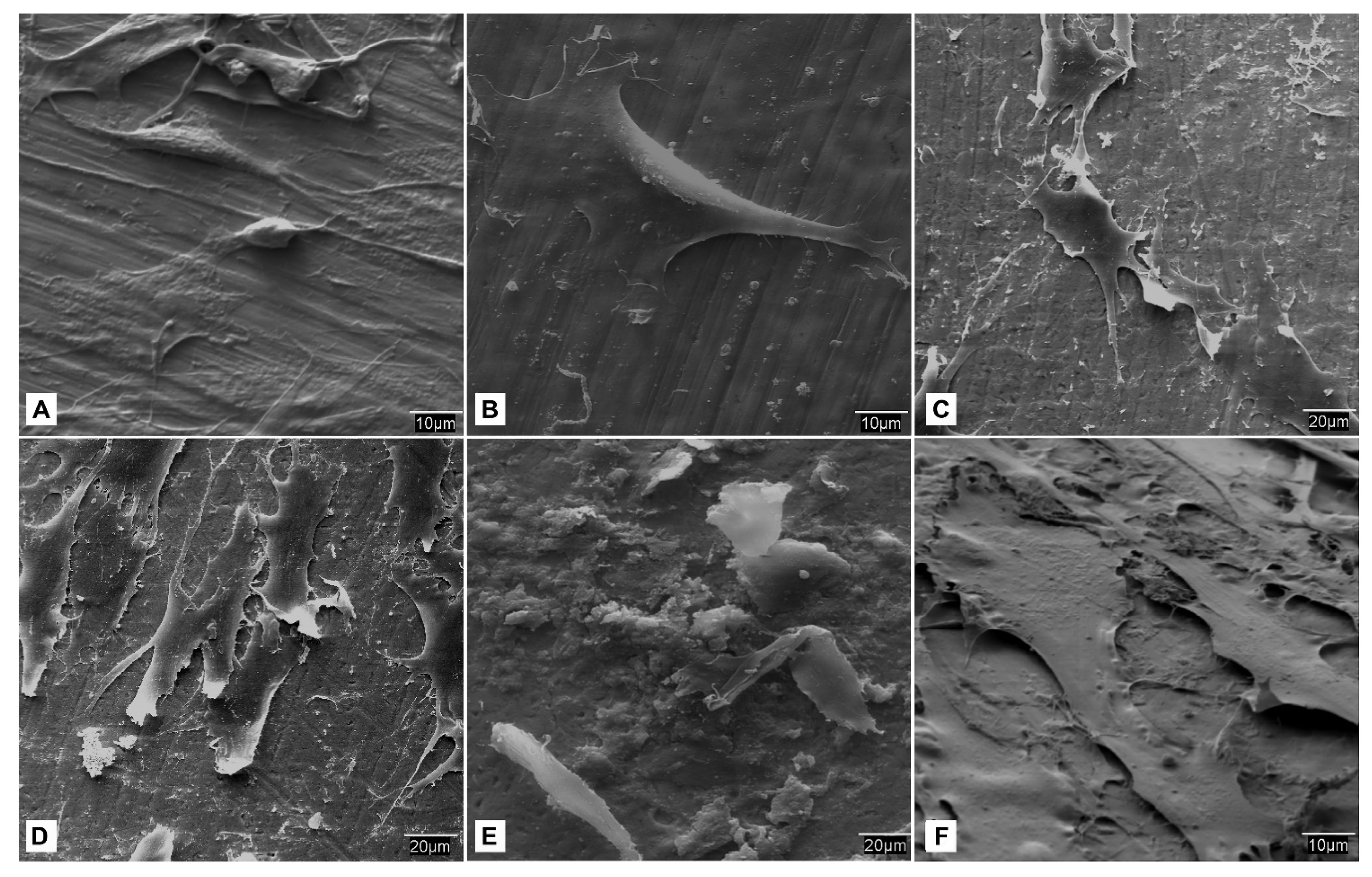 Biomedicines 09 01663 g009