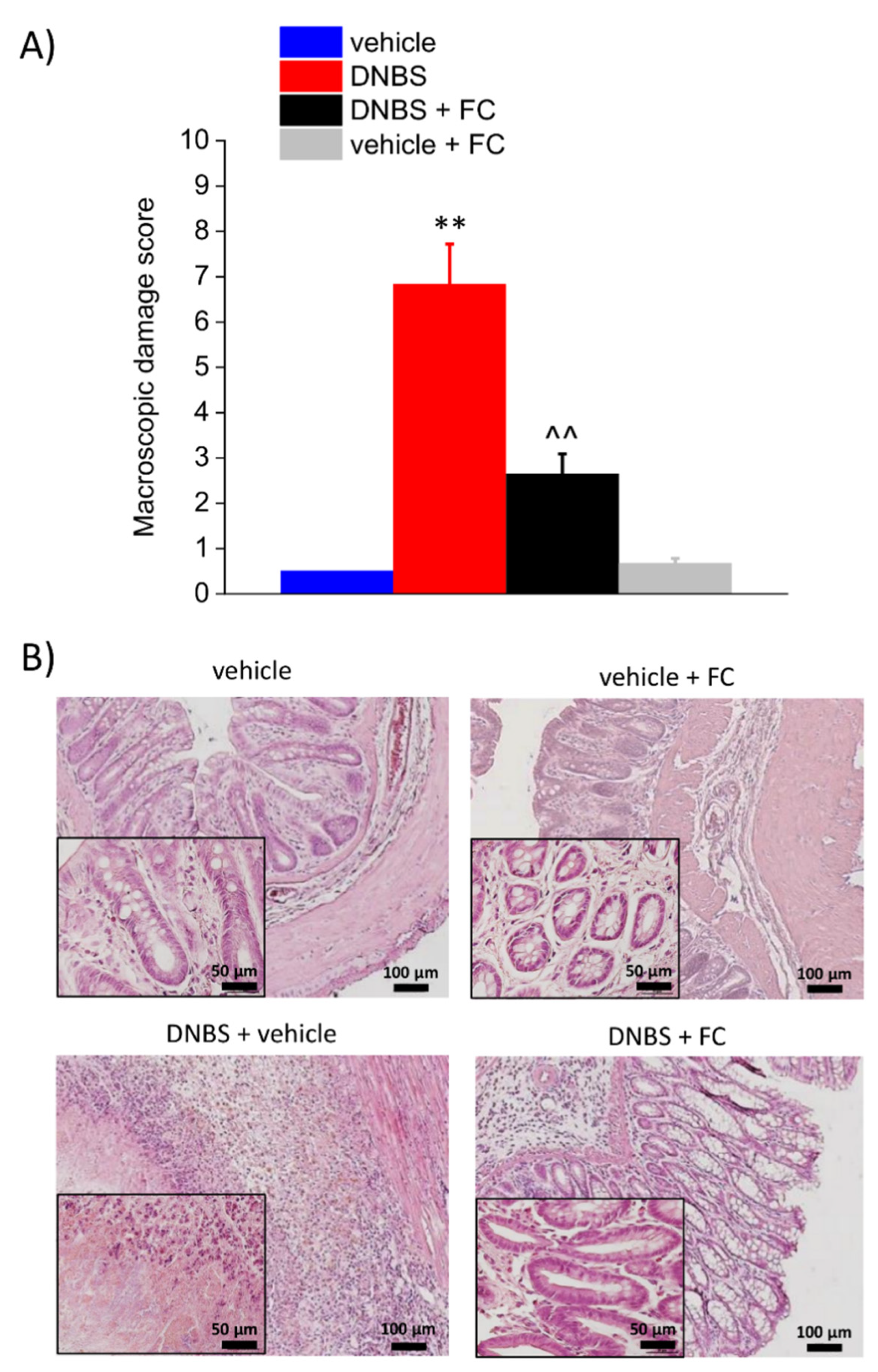 Biomedicines 09 01671 g002