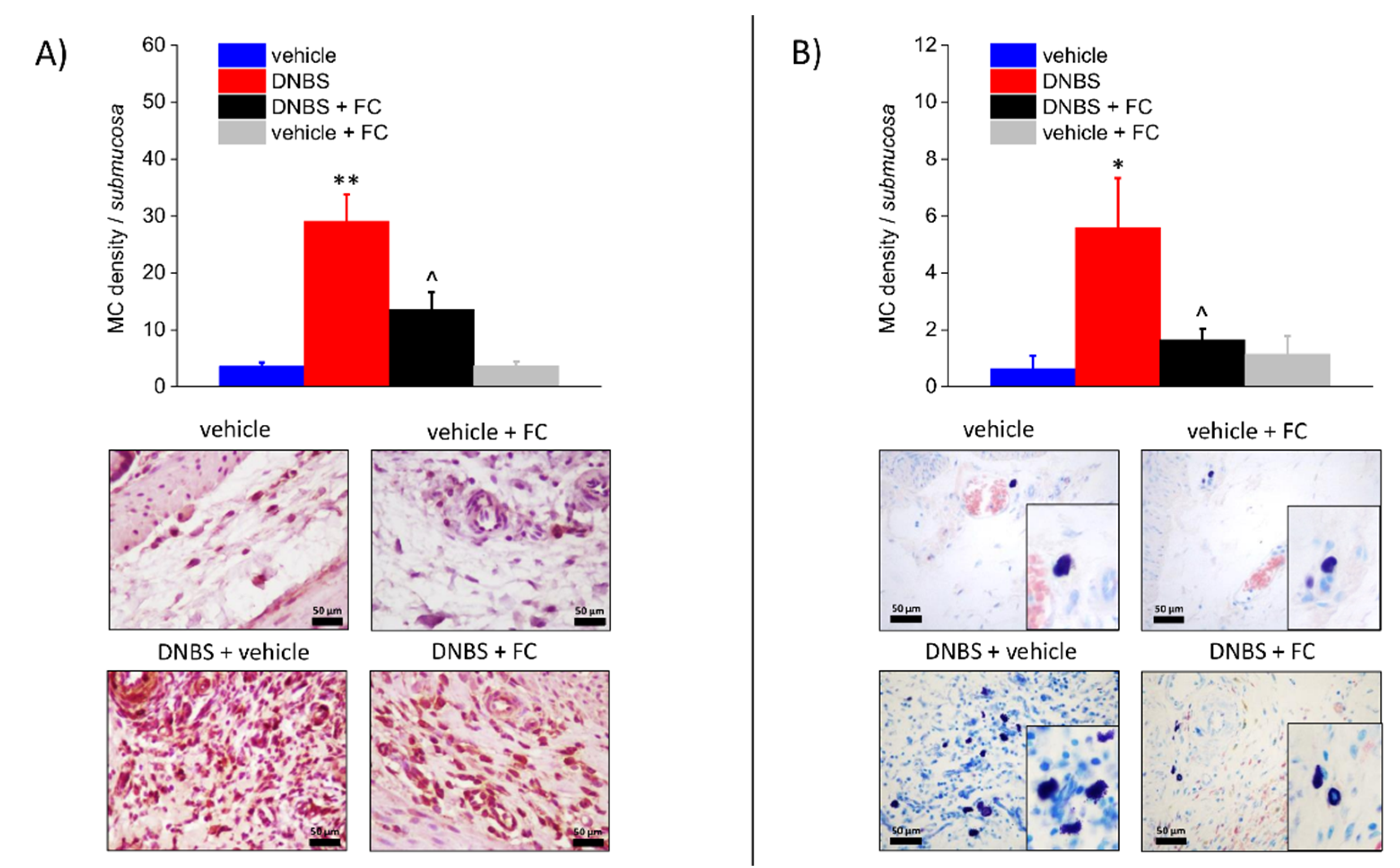 Biomedicines 09 01671 g003