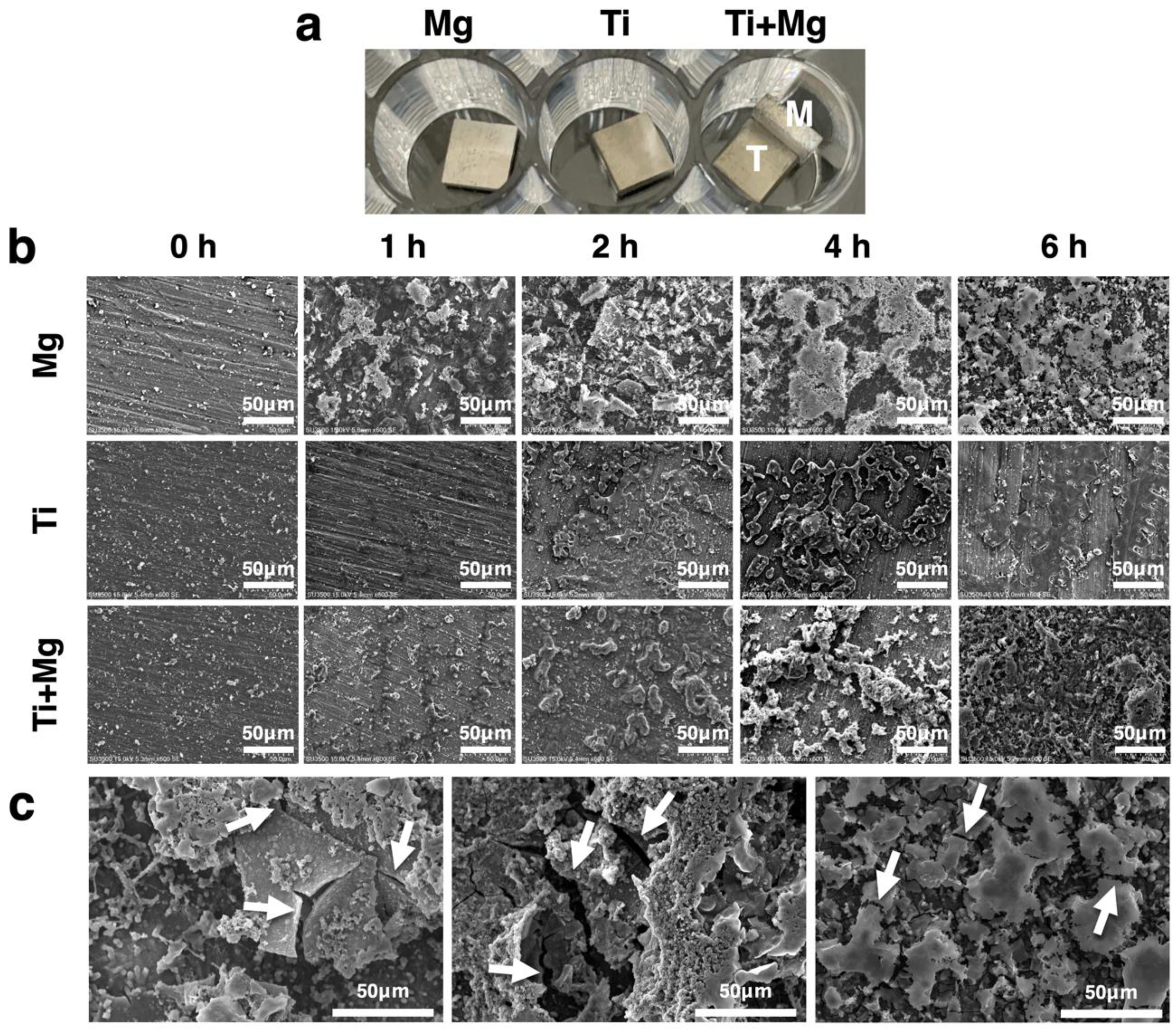 Biomedicines 09 01677 g004