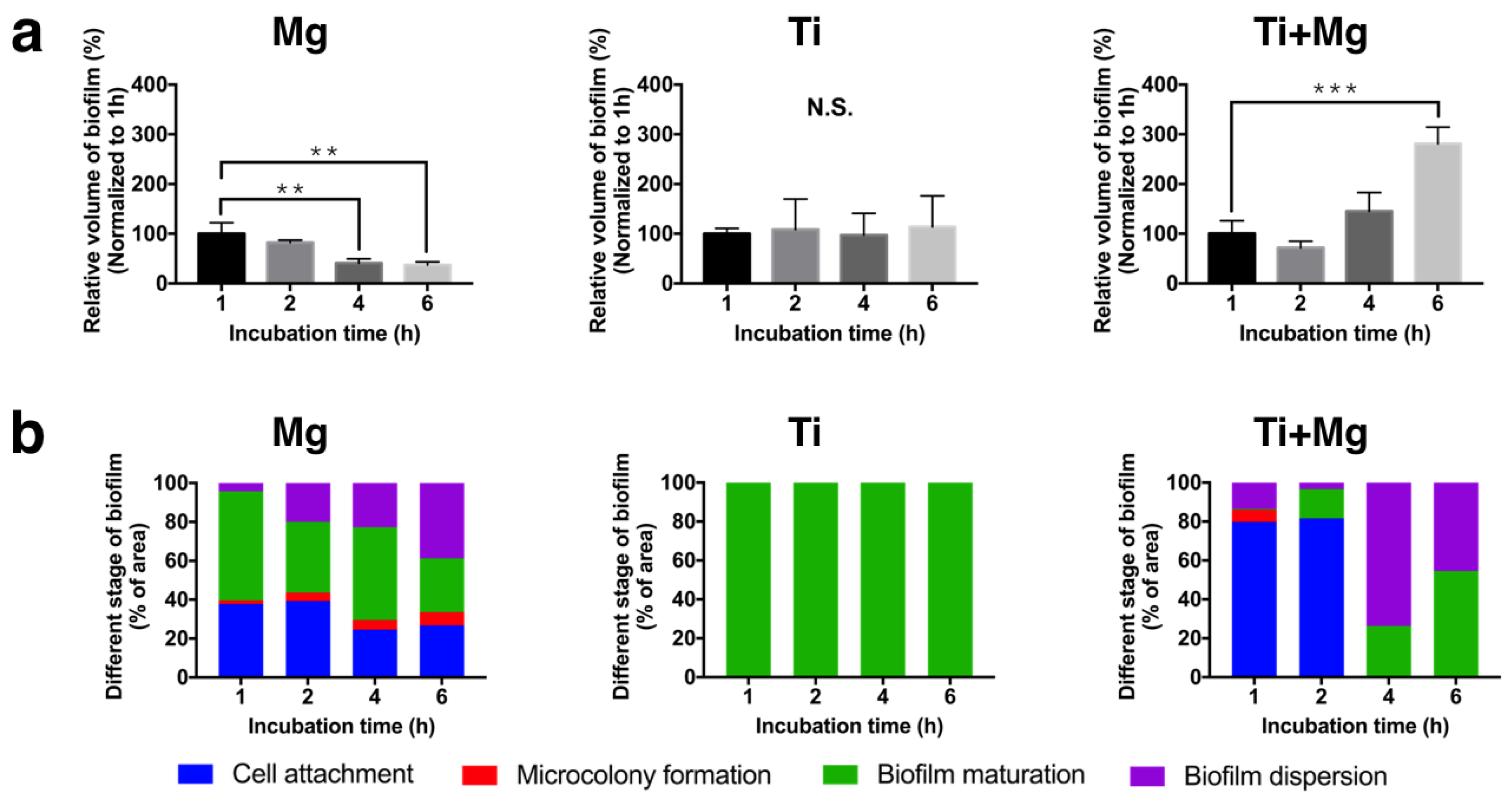 Biomedicines 09 01677 g005