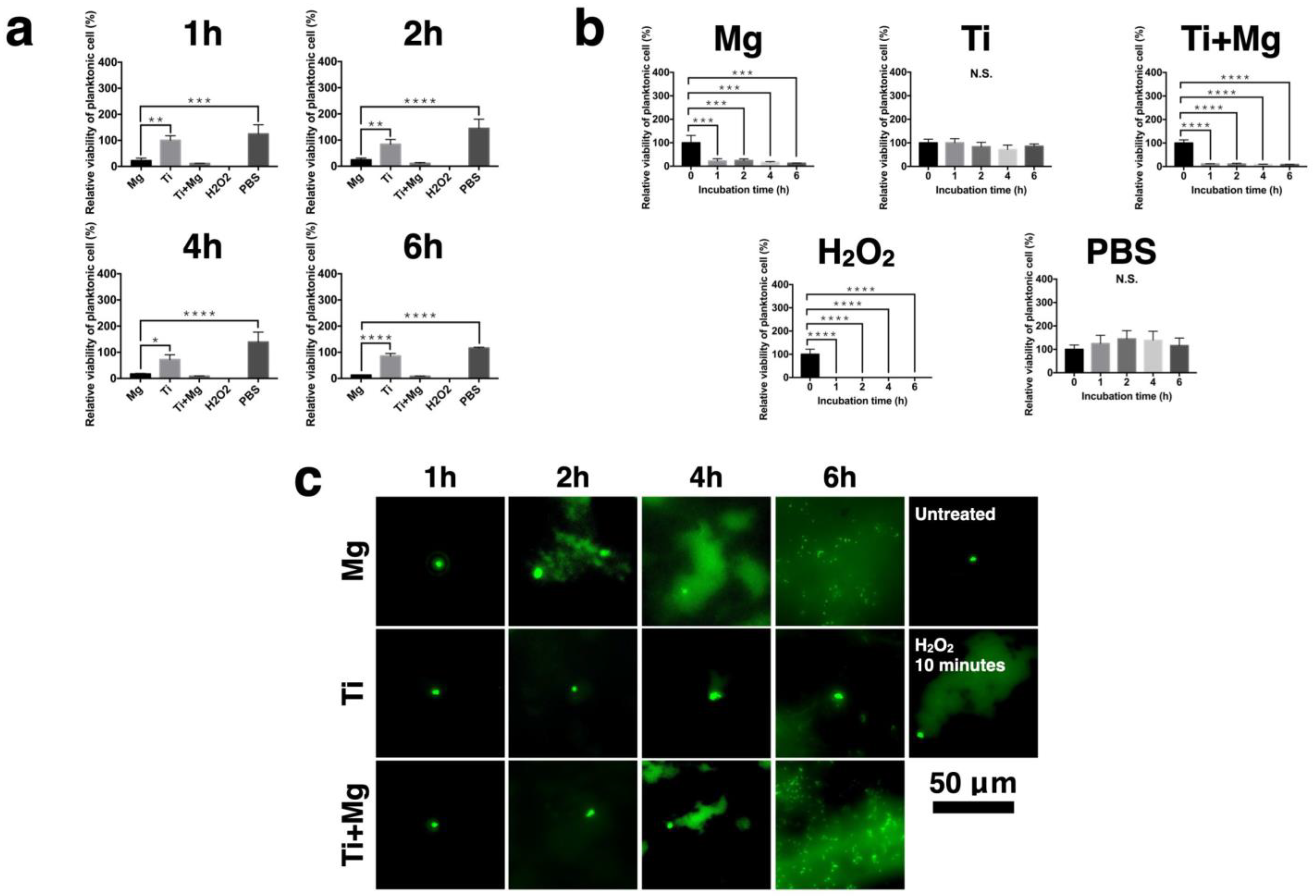 Biomedicines 09 01677 g006