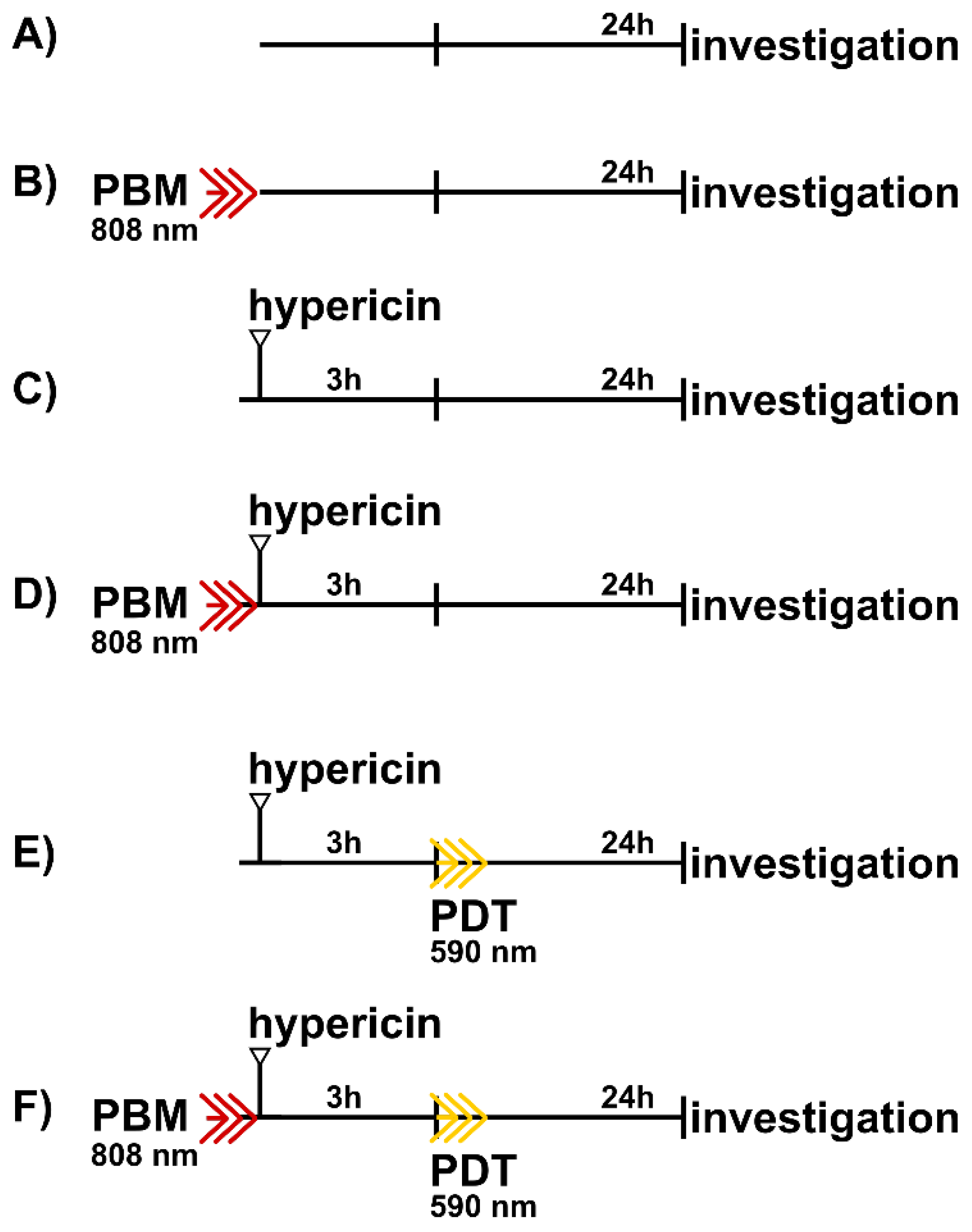 Biomedicines 09 01703 g001