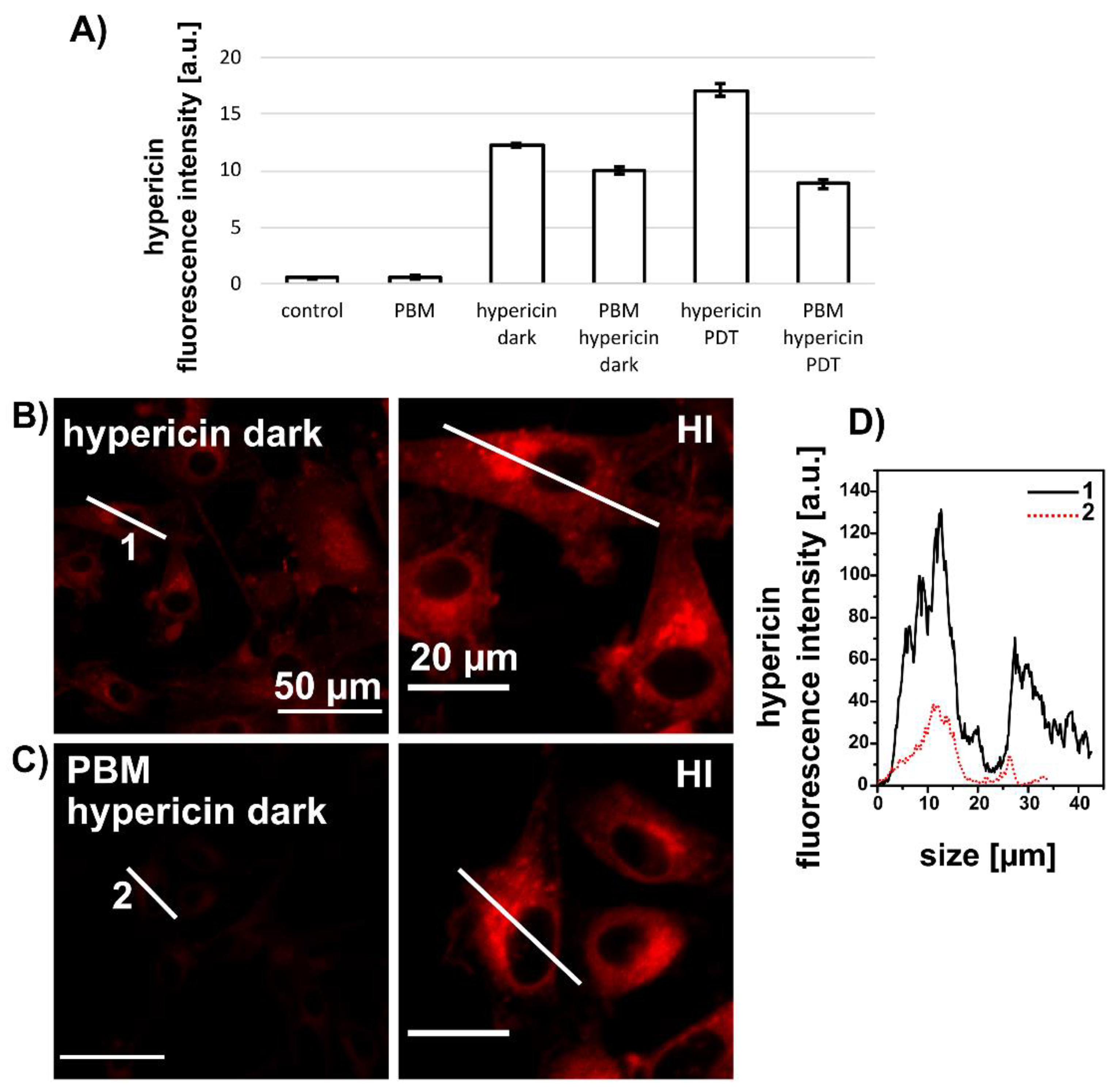 Biomedicines 09 01703 g003