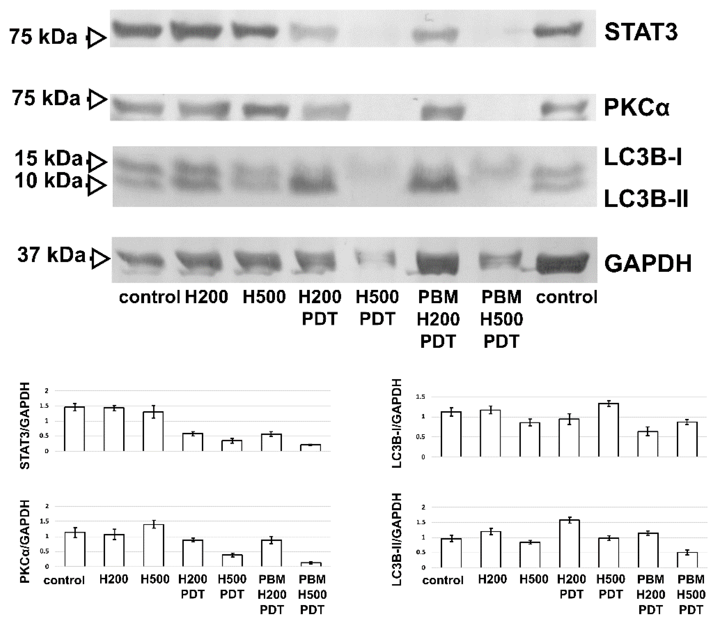 Biomedicines 09 01703 g009