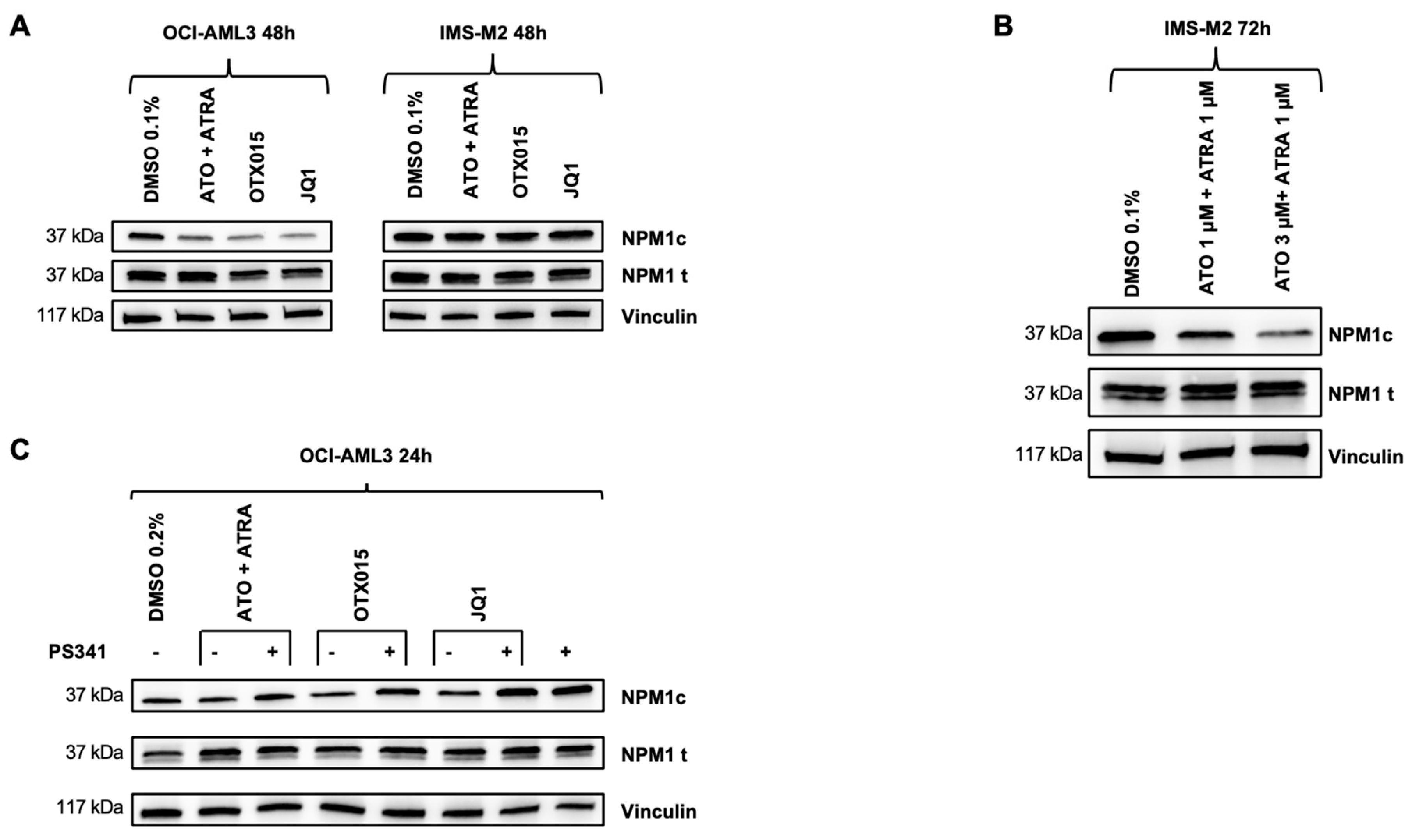 Biomedicines 09 01704 g003