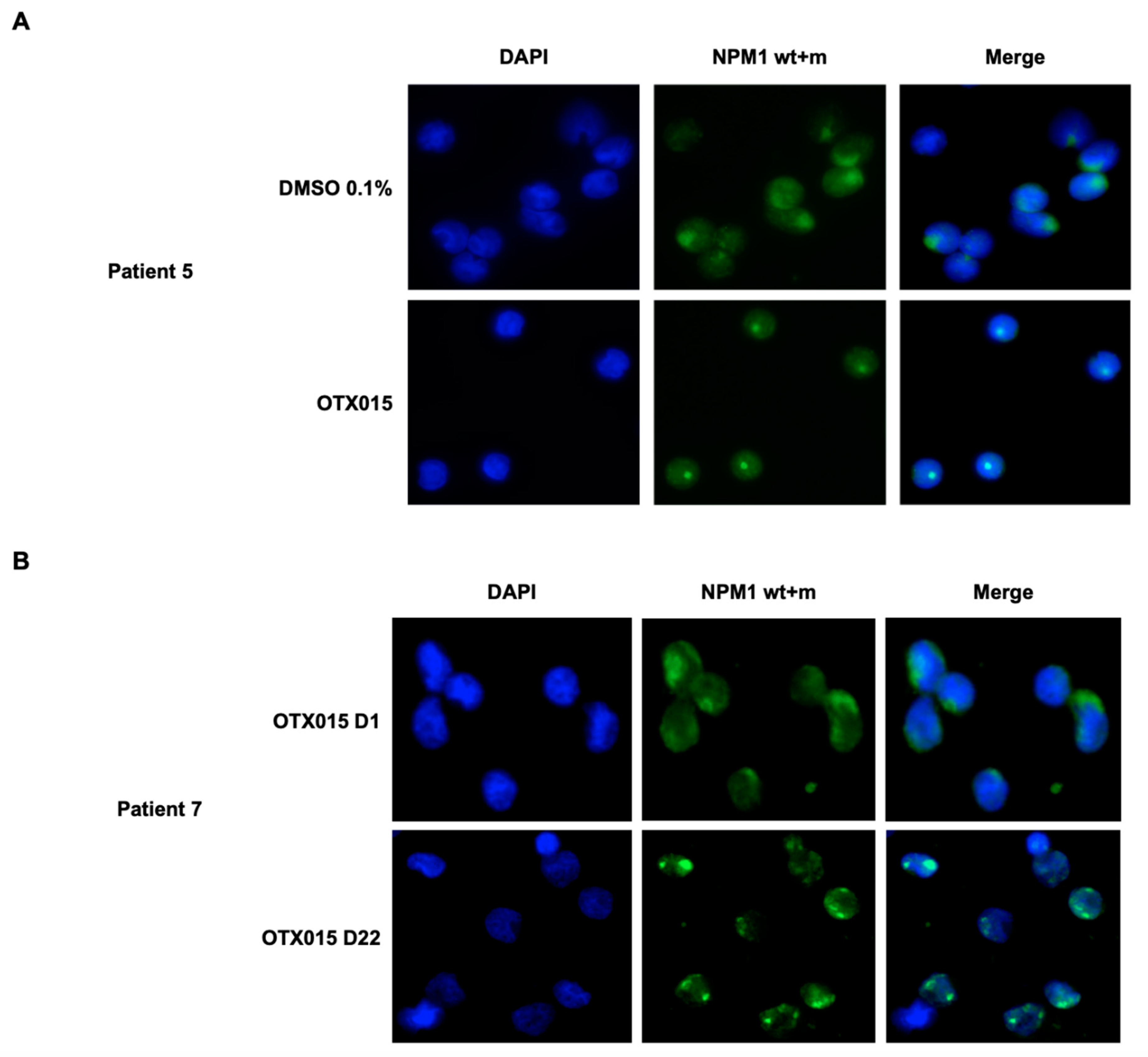 Biomedicines 09 01704 g006
