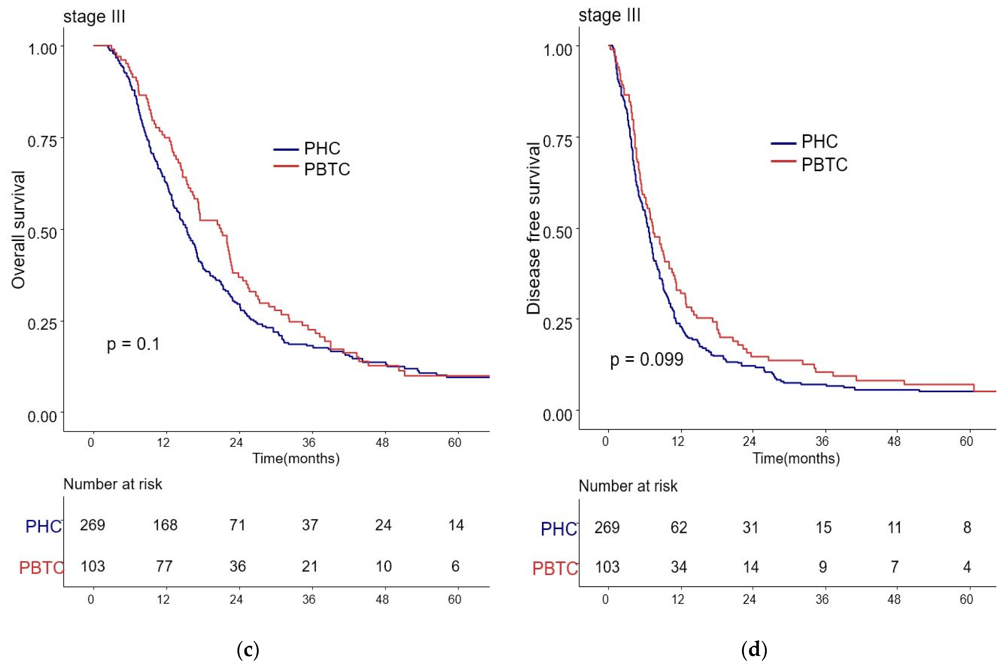 Biomedicines 09 01706 g002b Biomedicines 09 01706 g002b