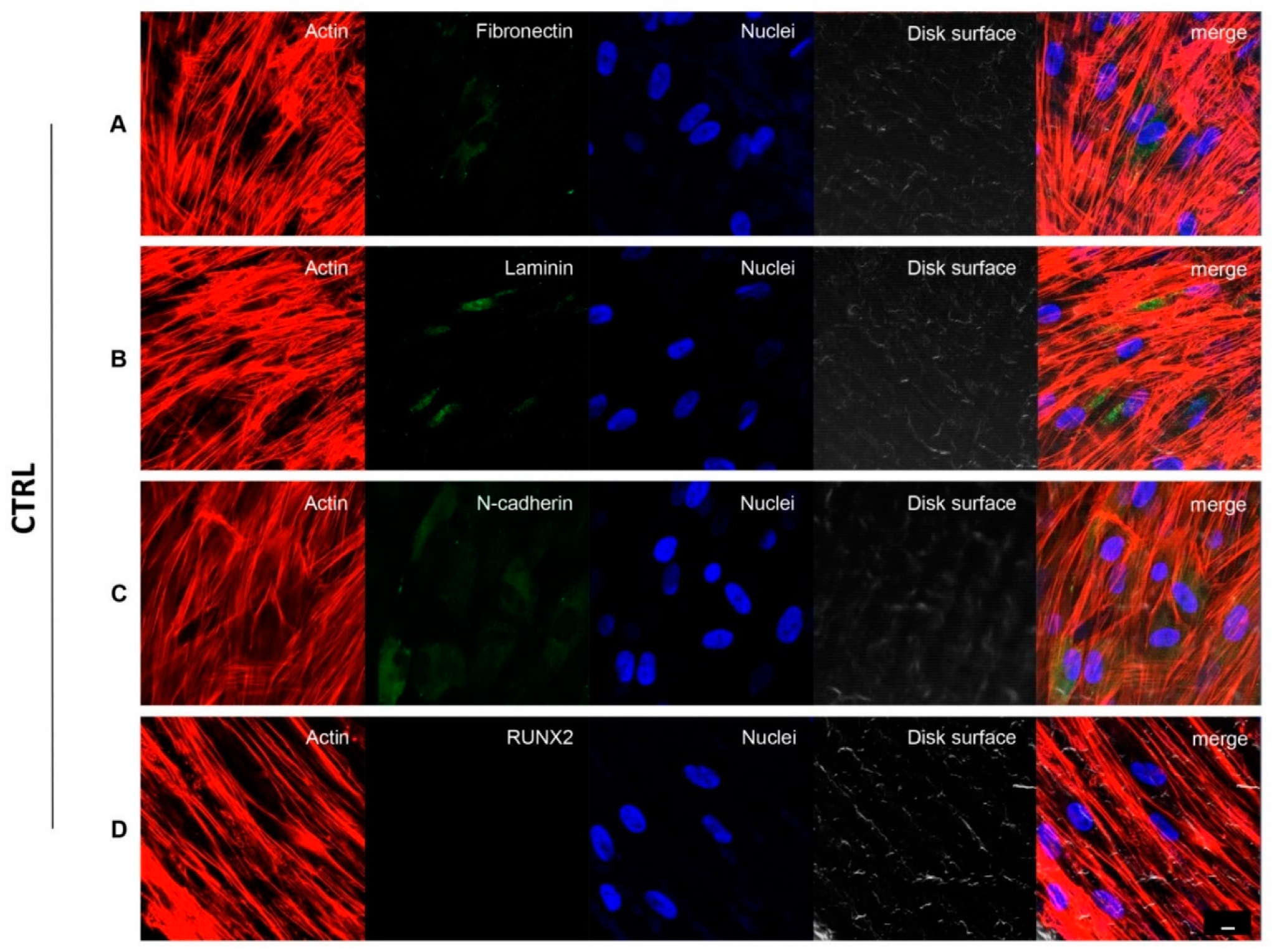 Biomedicines 09 01710 g003