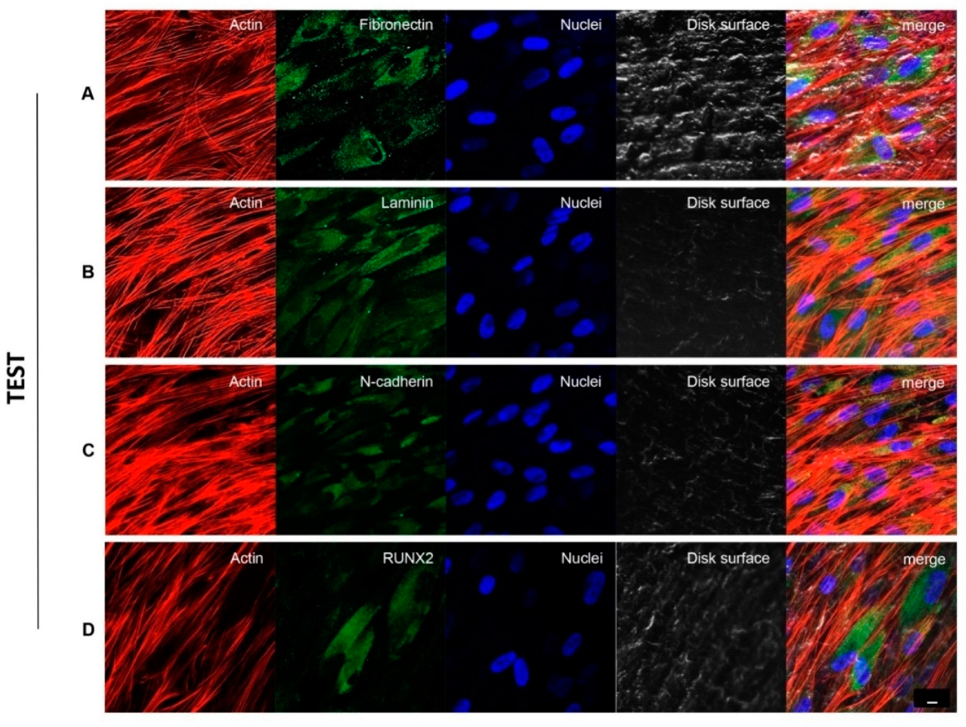 Biomedicines 09 01710 g004