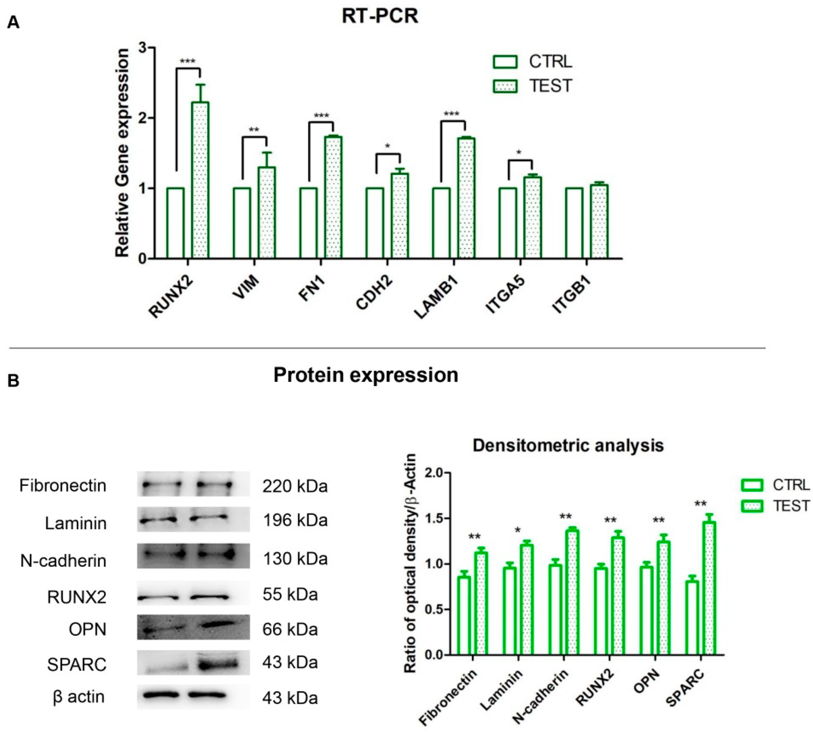 Biomedicines 09 01710 g005