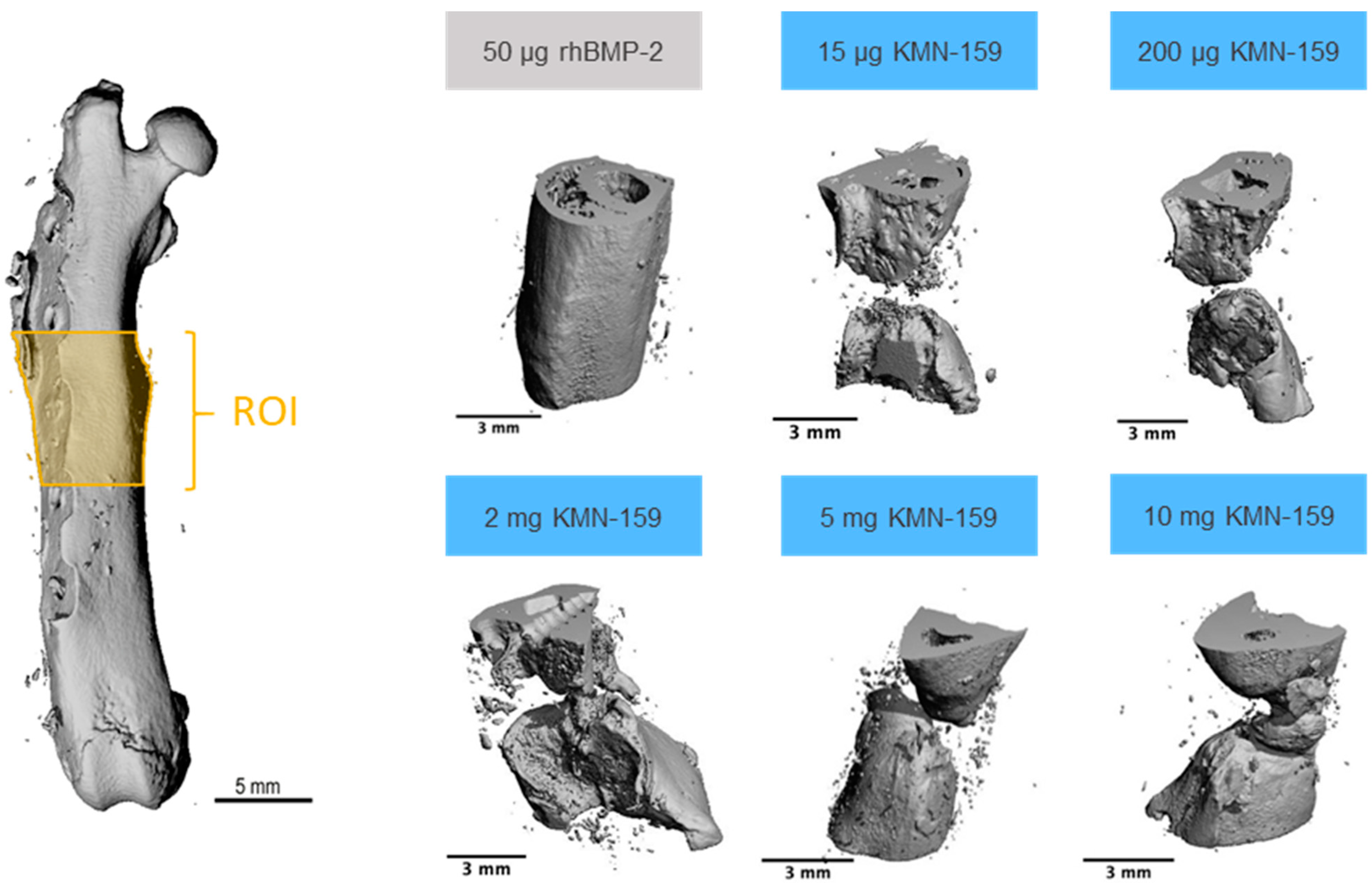 Biomedicines 09 01712 g002