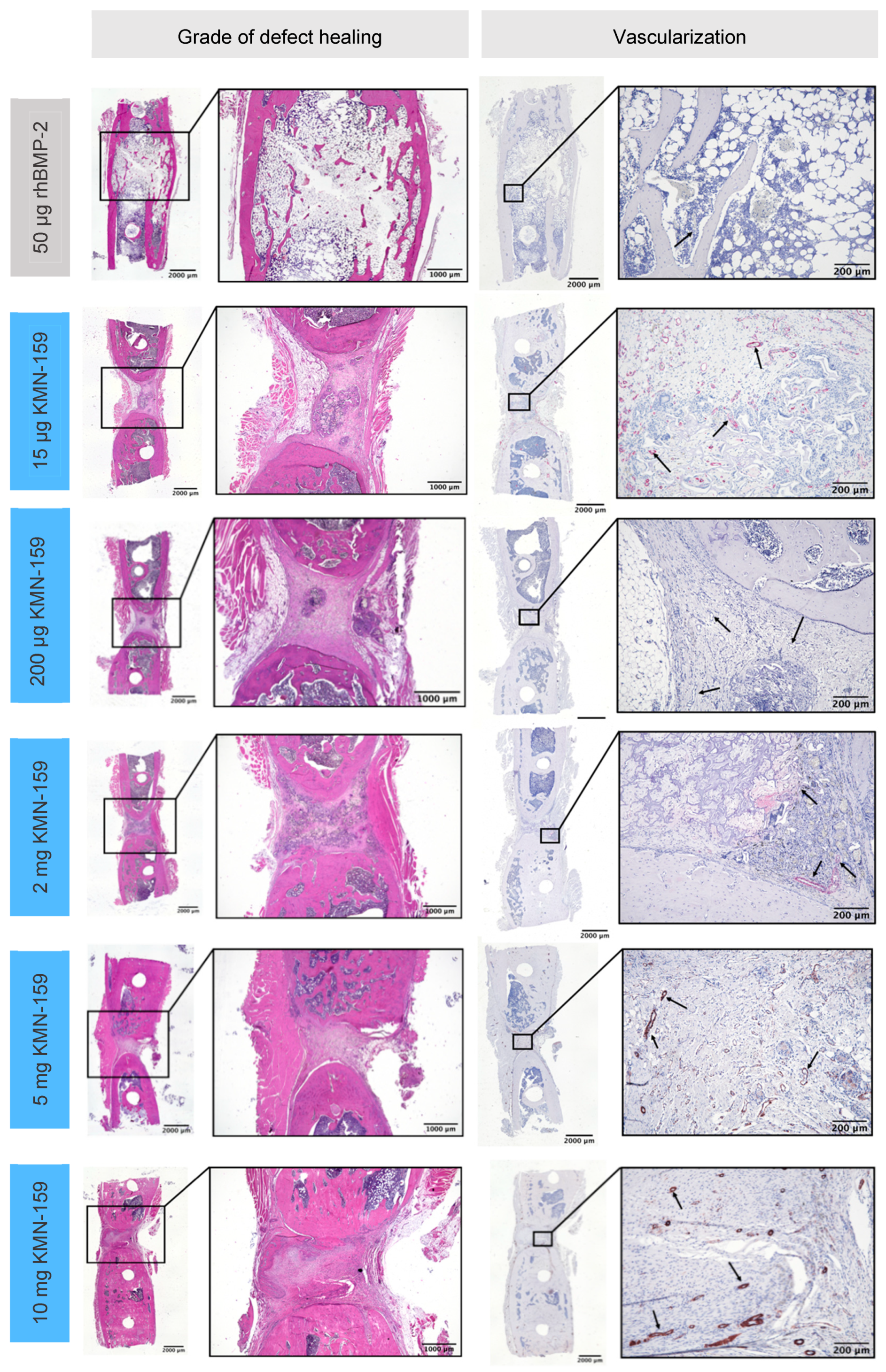 Biomedicines 09 01712 g003